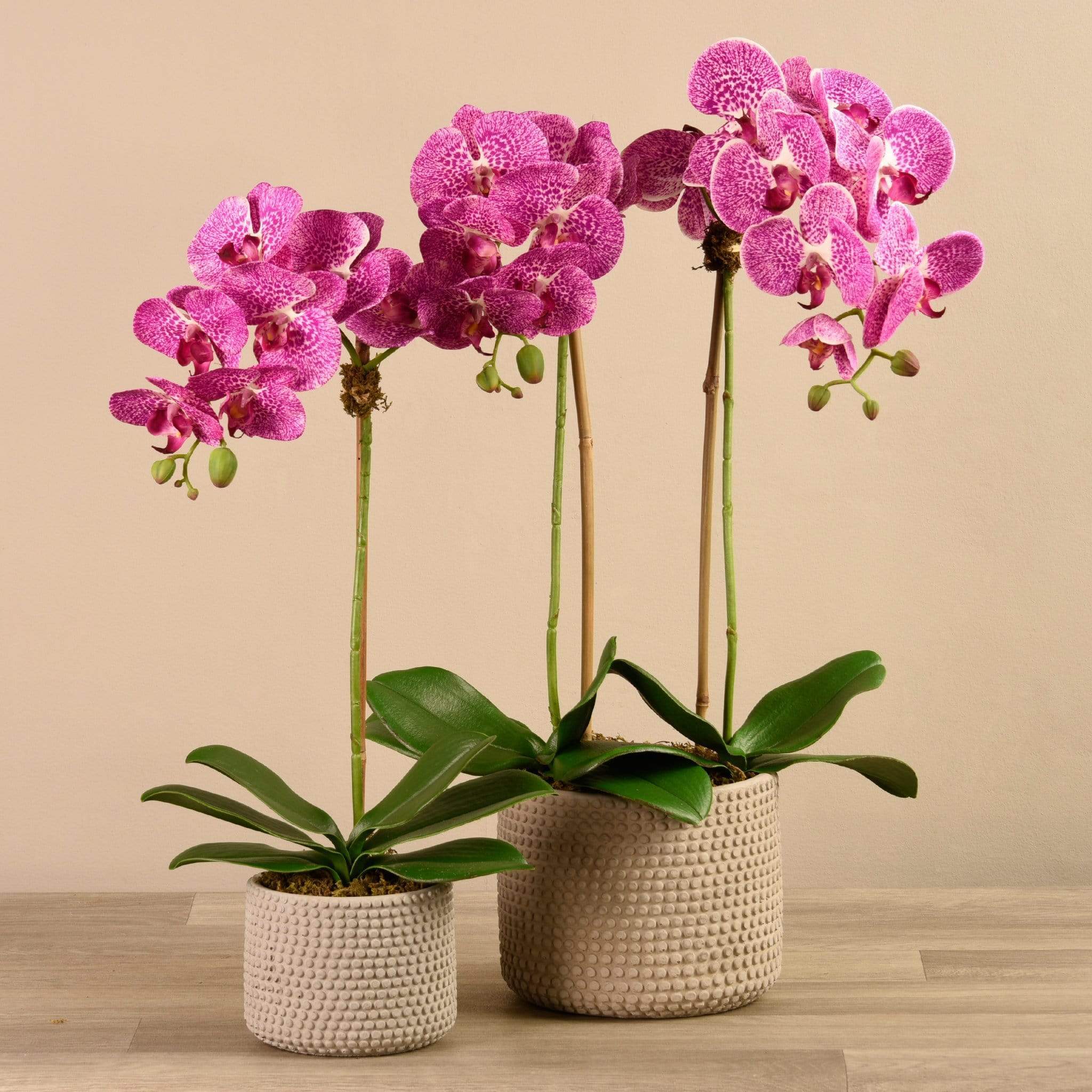 Artificial Orchid Arrangement - Image 7