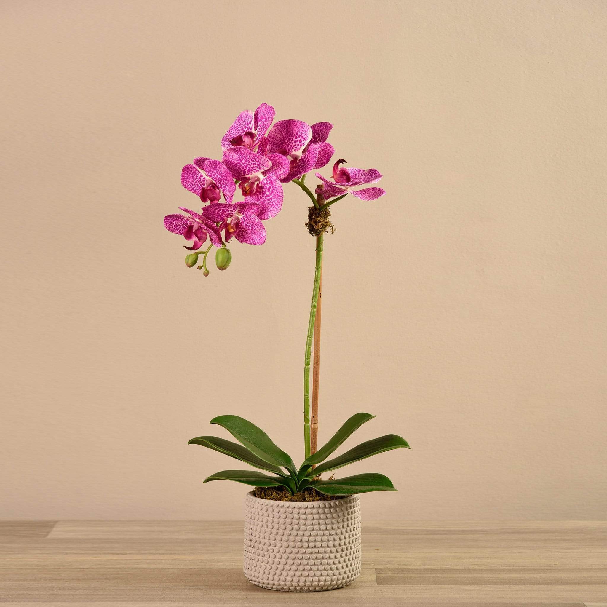 Artificial Orchid Arrangement - Image 8