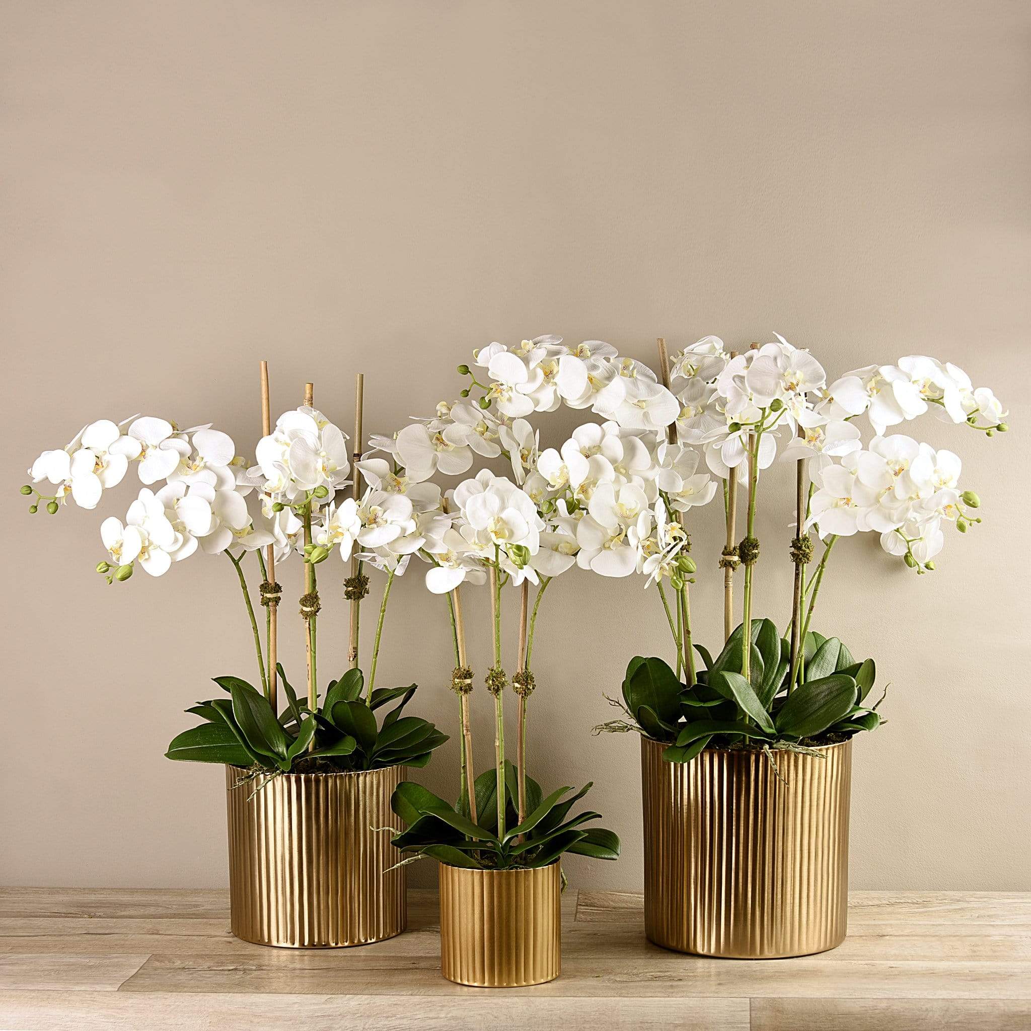 Artificial Orchid Arrangement