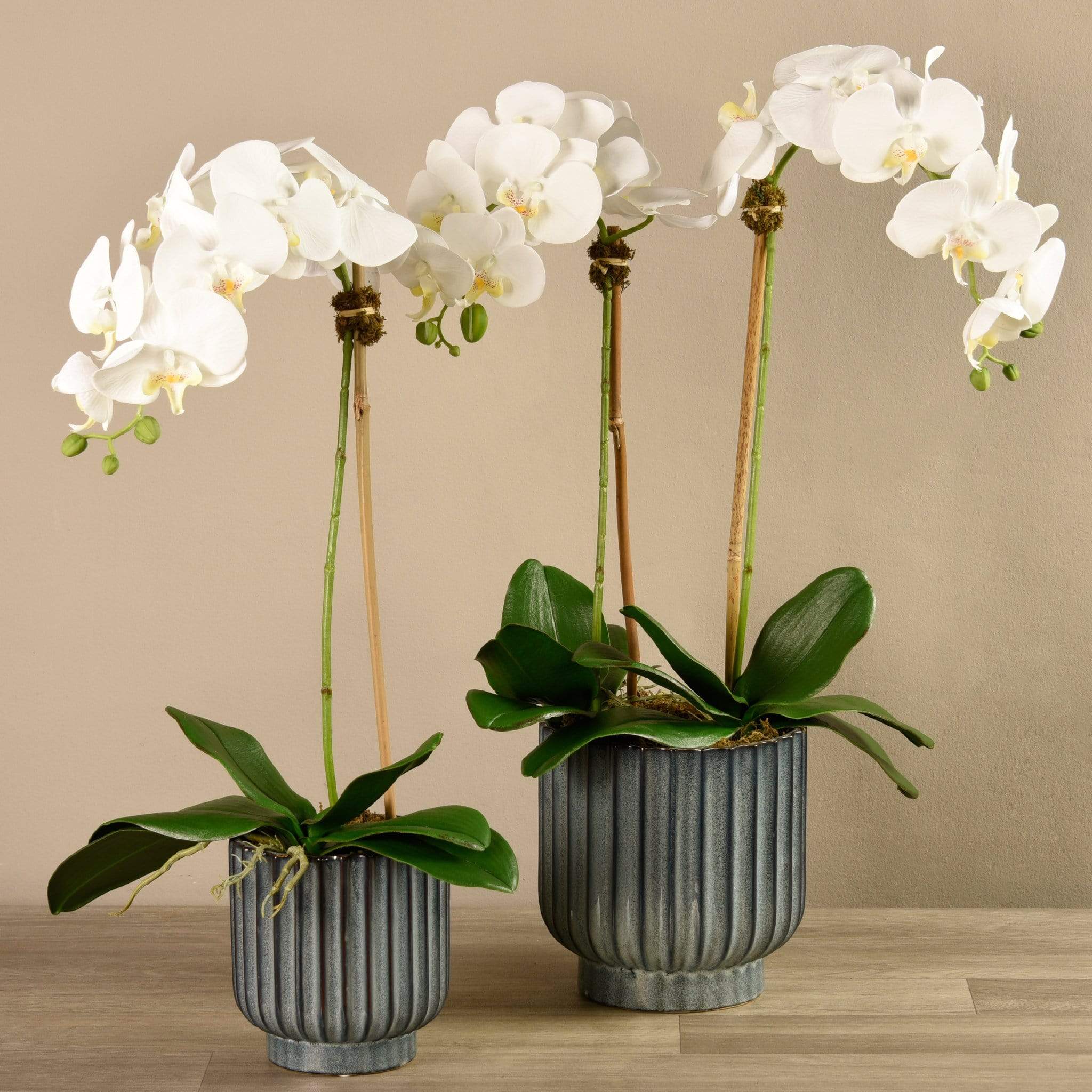Artificial Orchid Arrangement