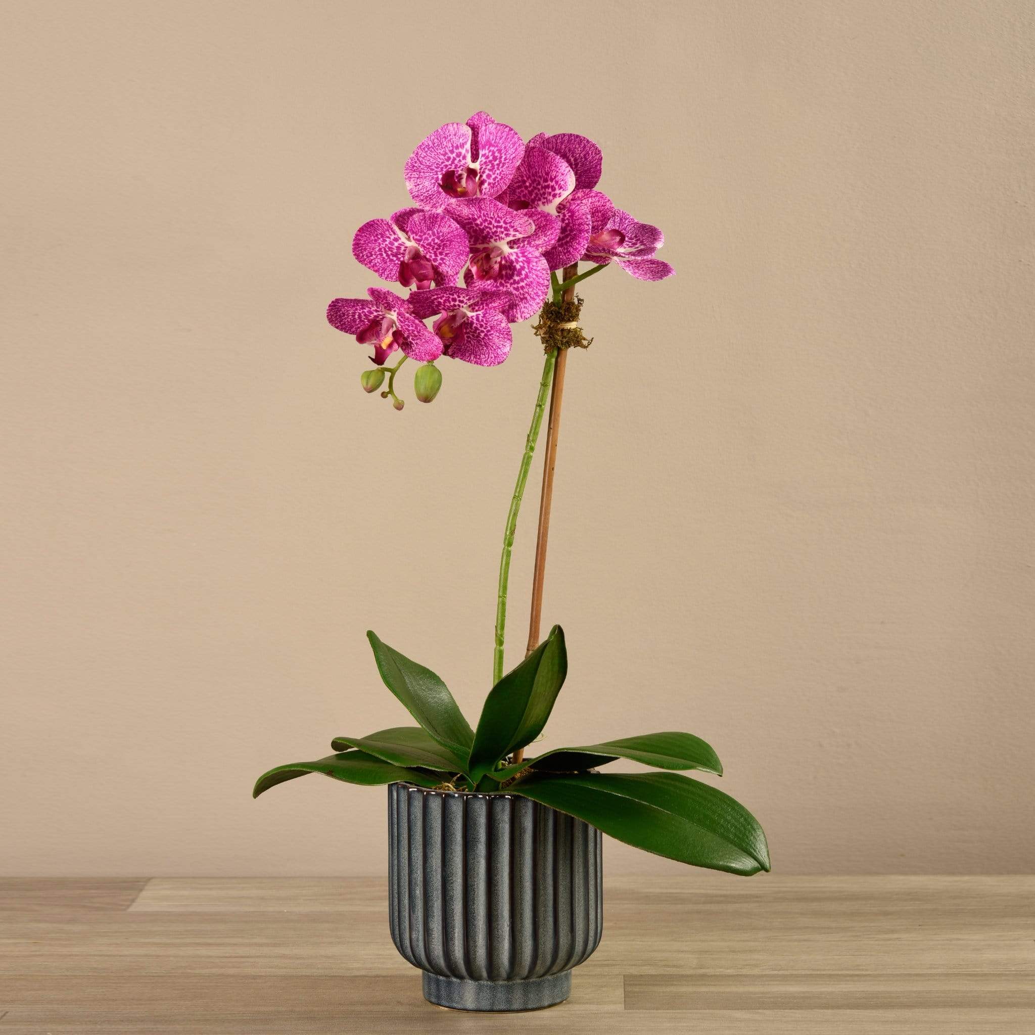 Artificial Orchid Arrangement - Image 8