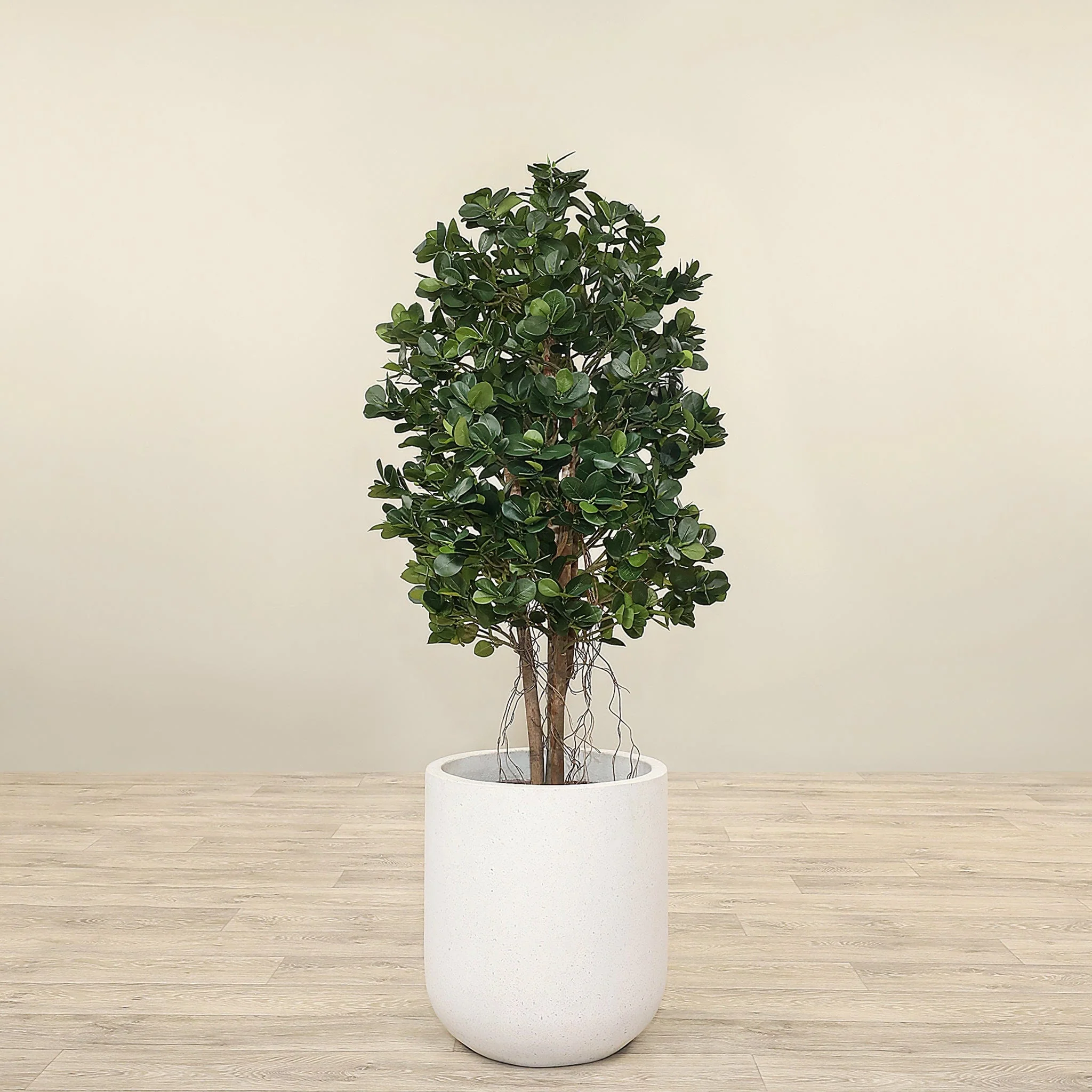 Artificial Panda Ficus Tree 120cm