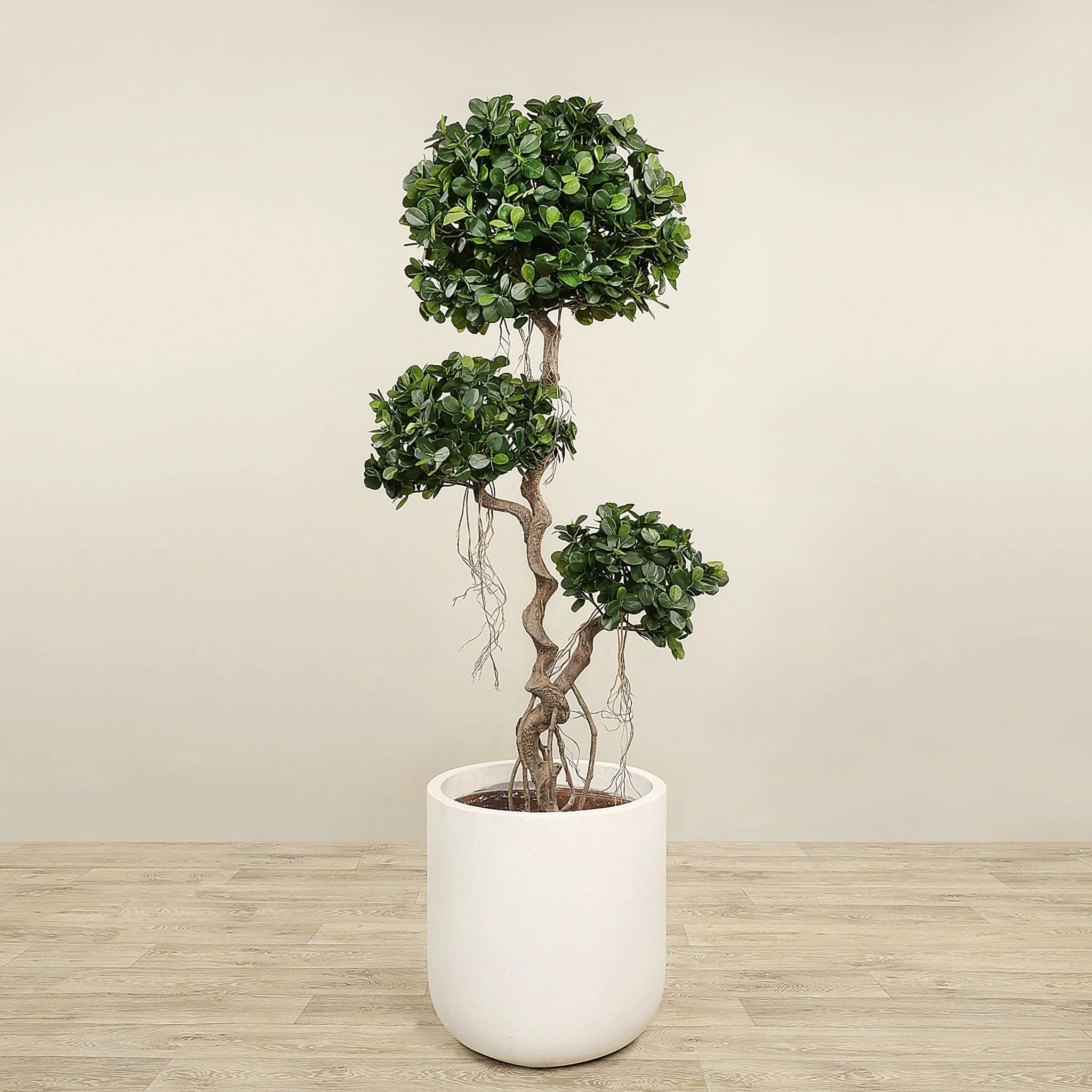 Artificial Panda Ficus Tree 180cm