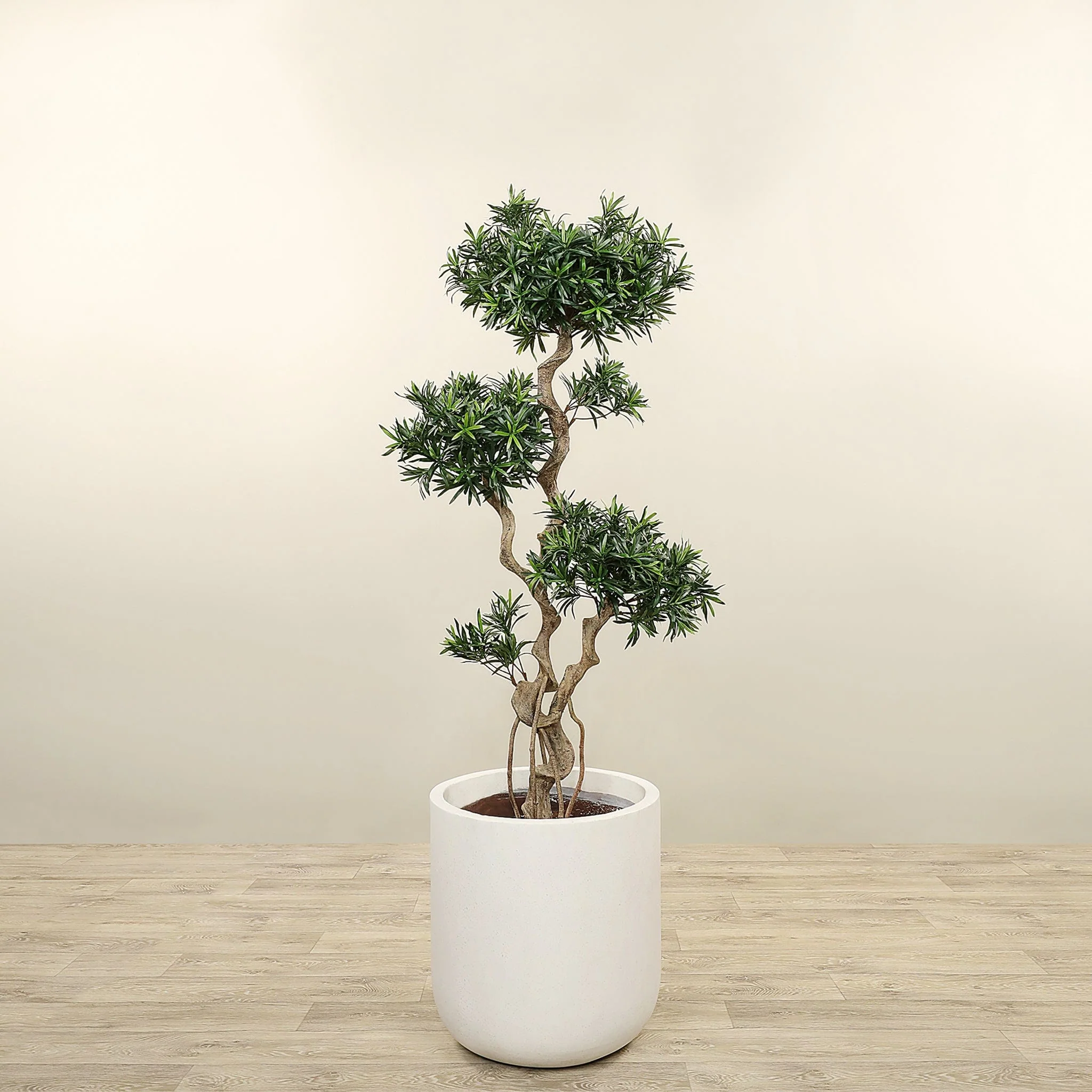 Artificial Podocarpus Tree 150cm