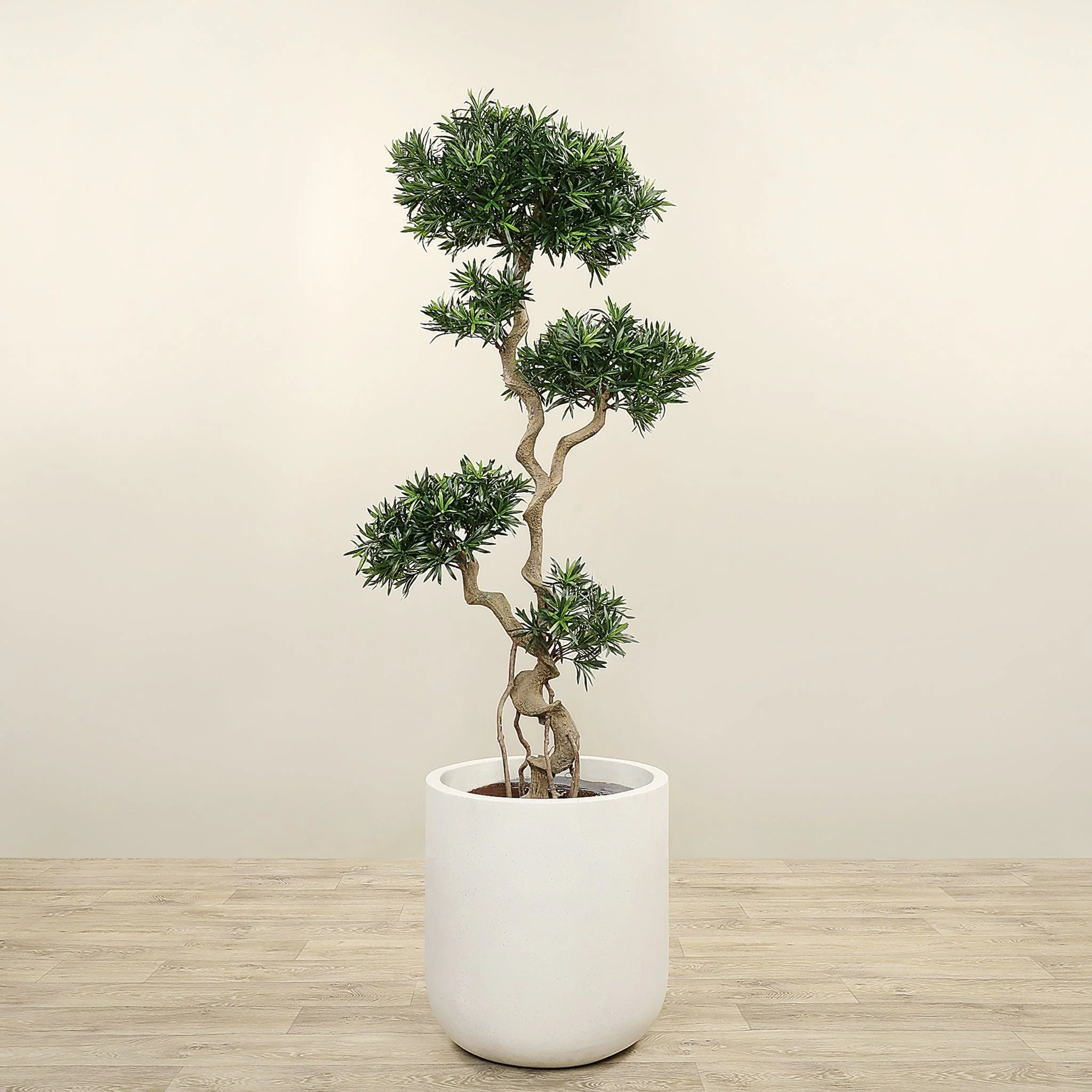 Artificial Podocarpus Tree 180cm