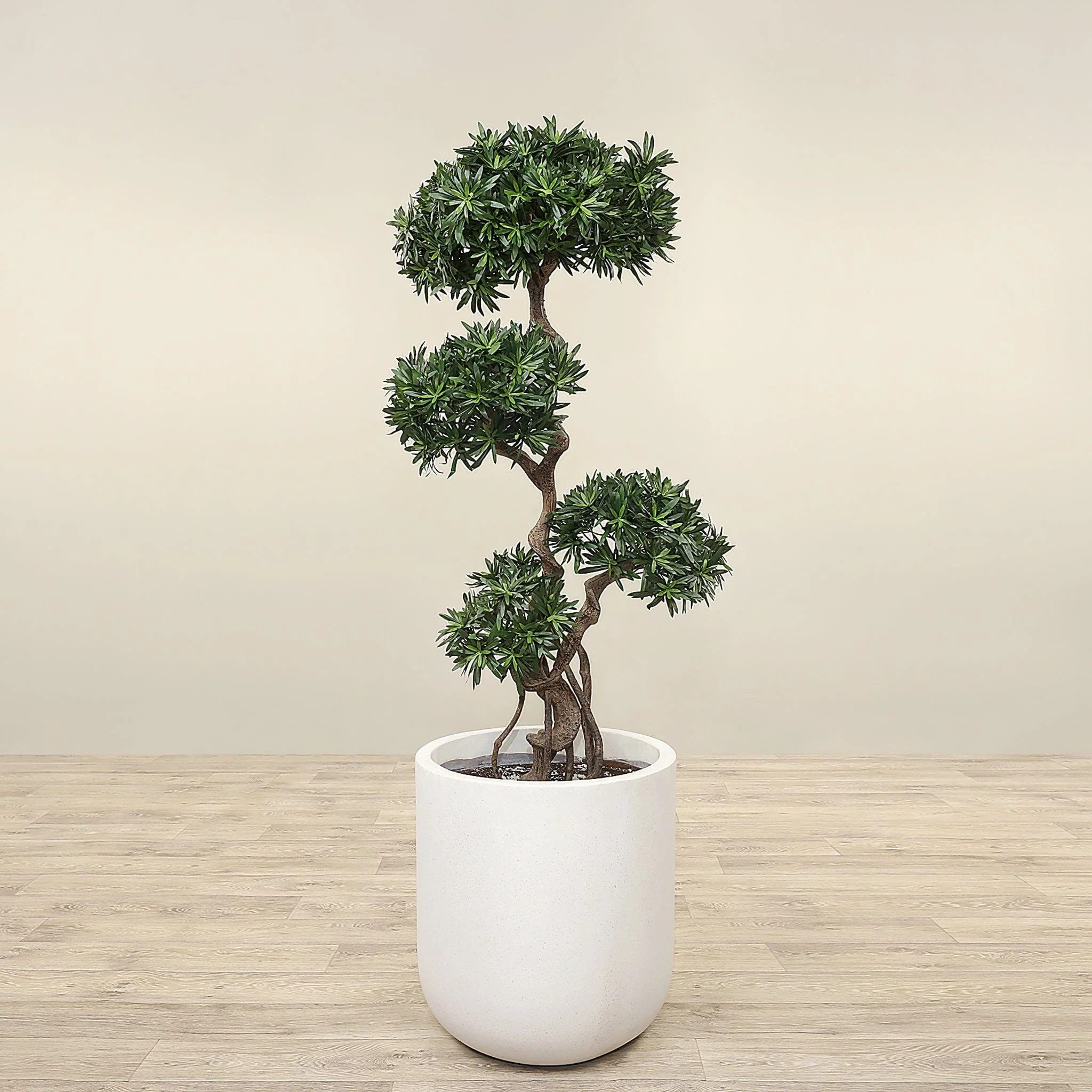 Artificial Podocarpus Tree 150cm