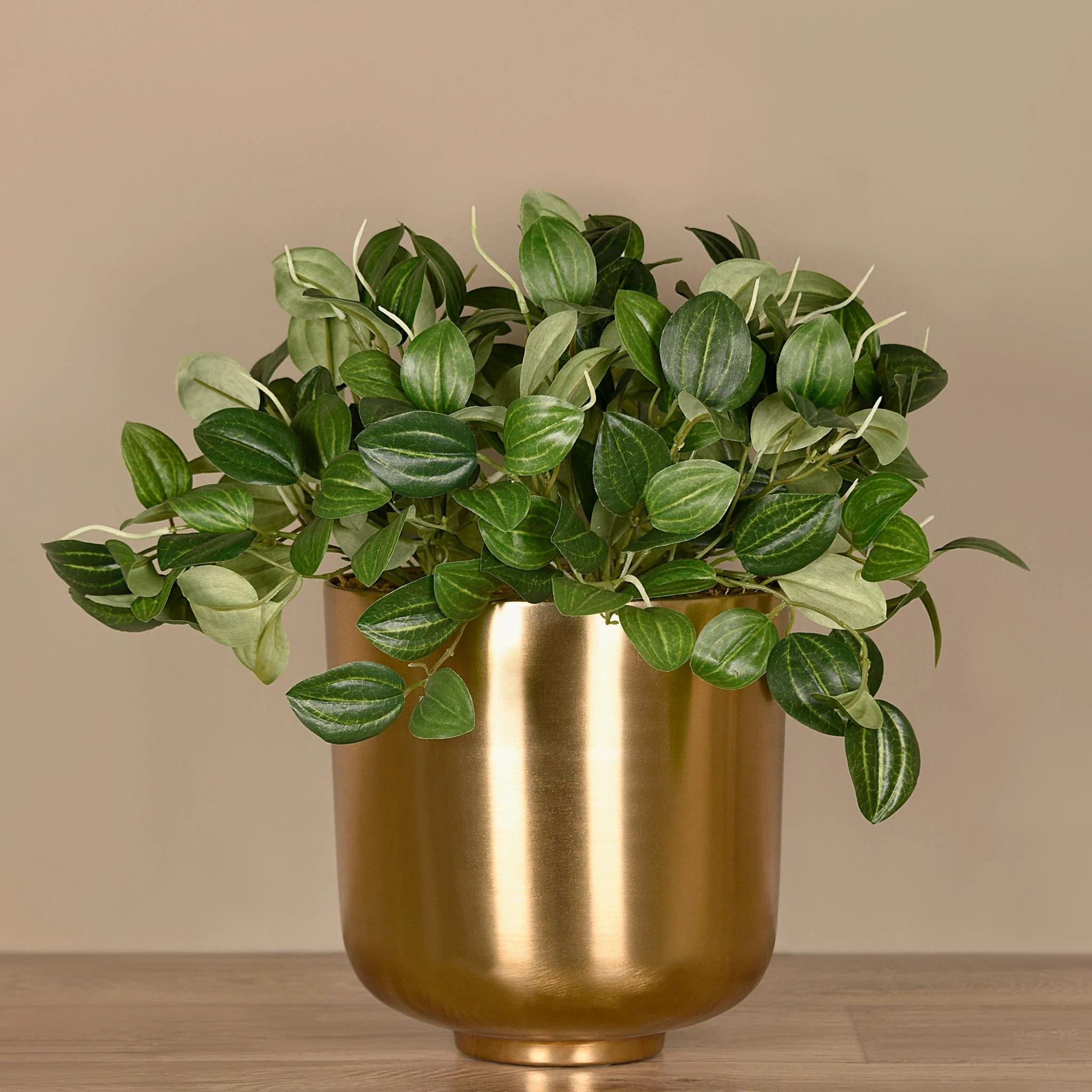 Artificial Potted Peperomia - Image 3