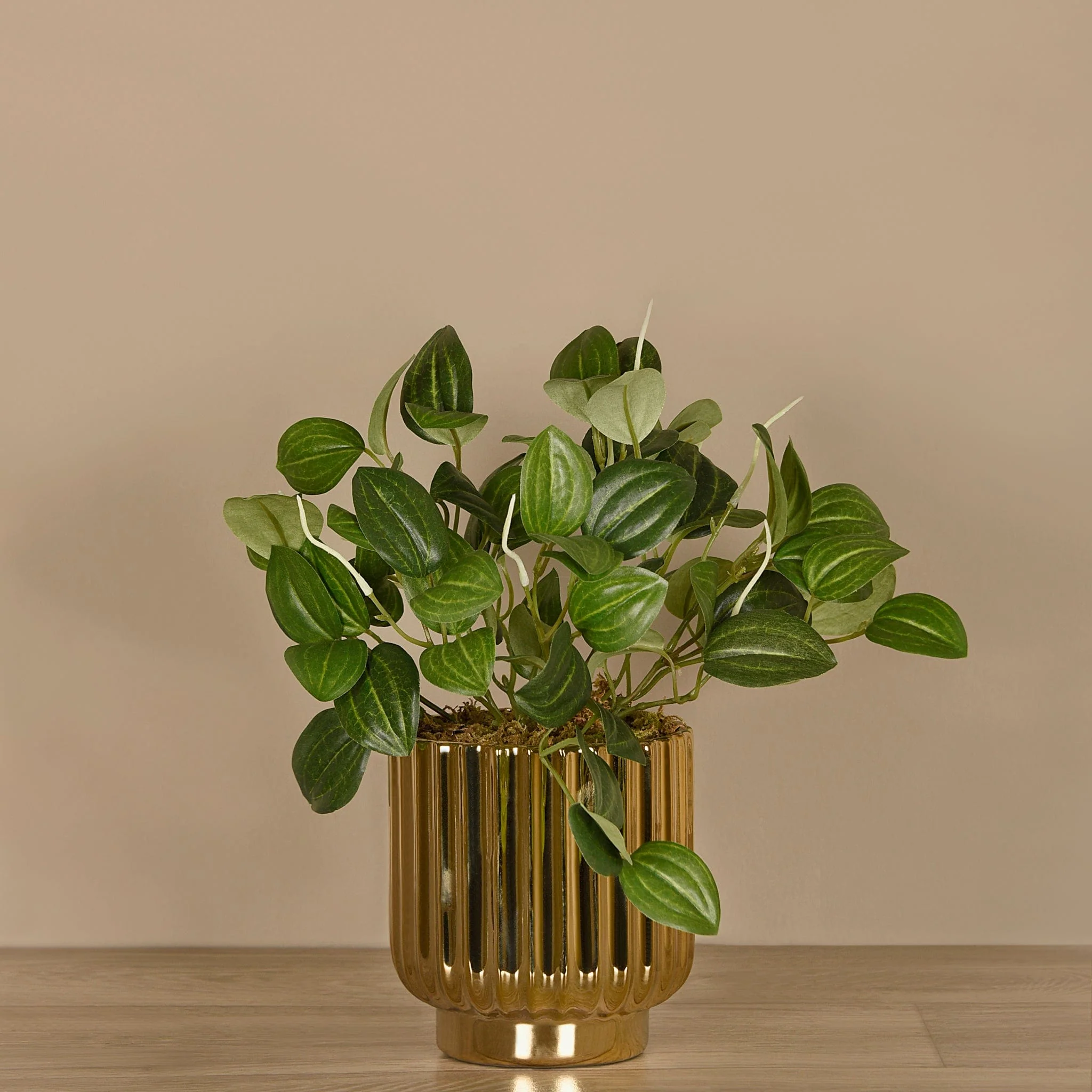 Artificial Potted Peperomia - Image 2
