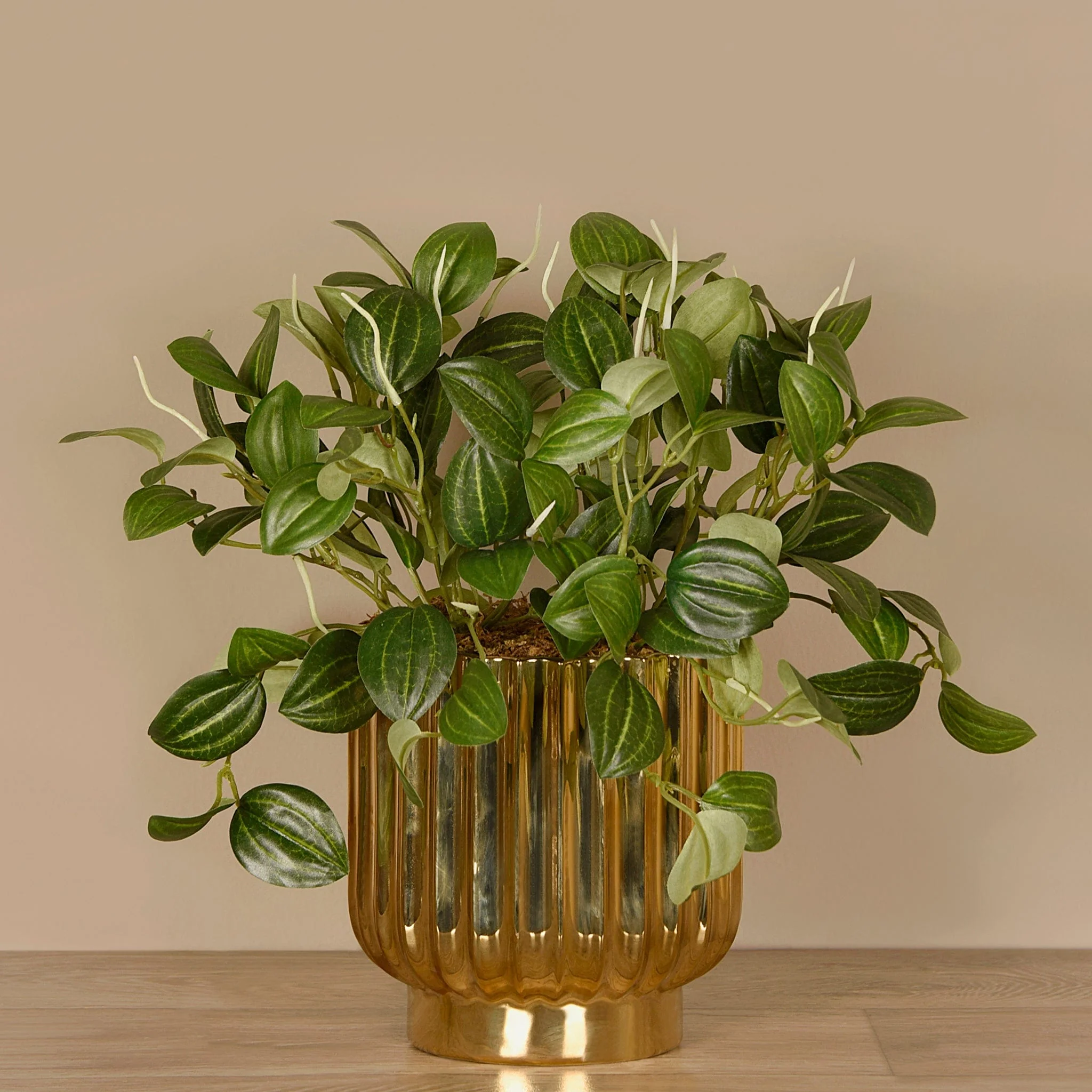 Artificial Potted Peperomia - Image 3