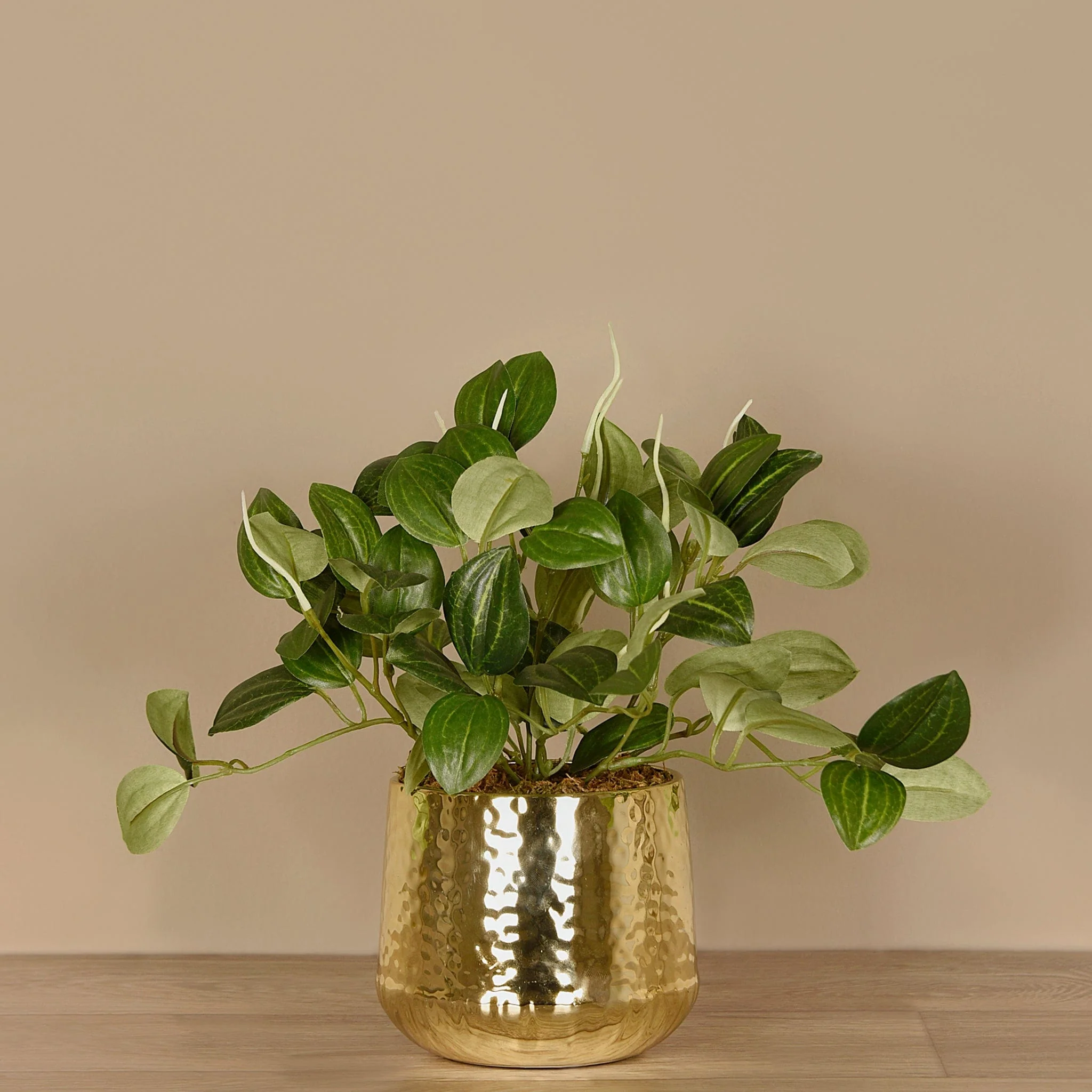 Artificial Potted Peperomia - Image 2