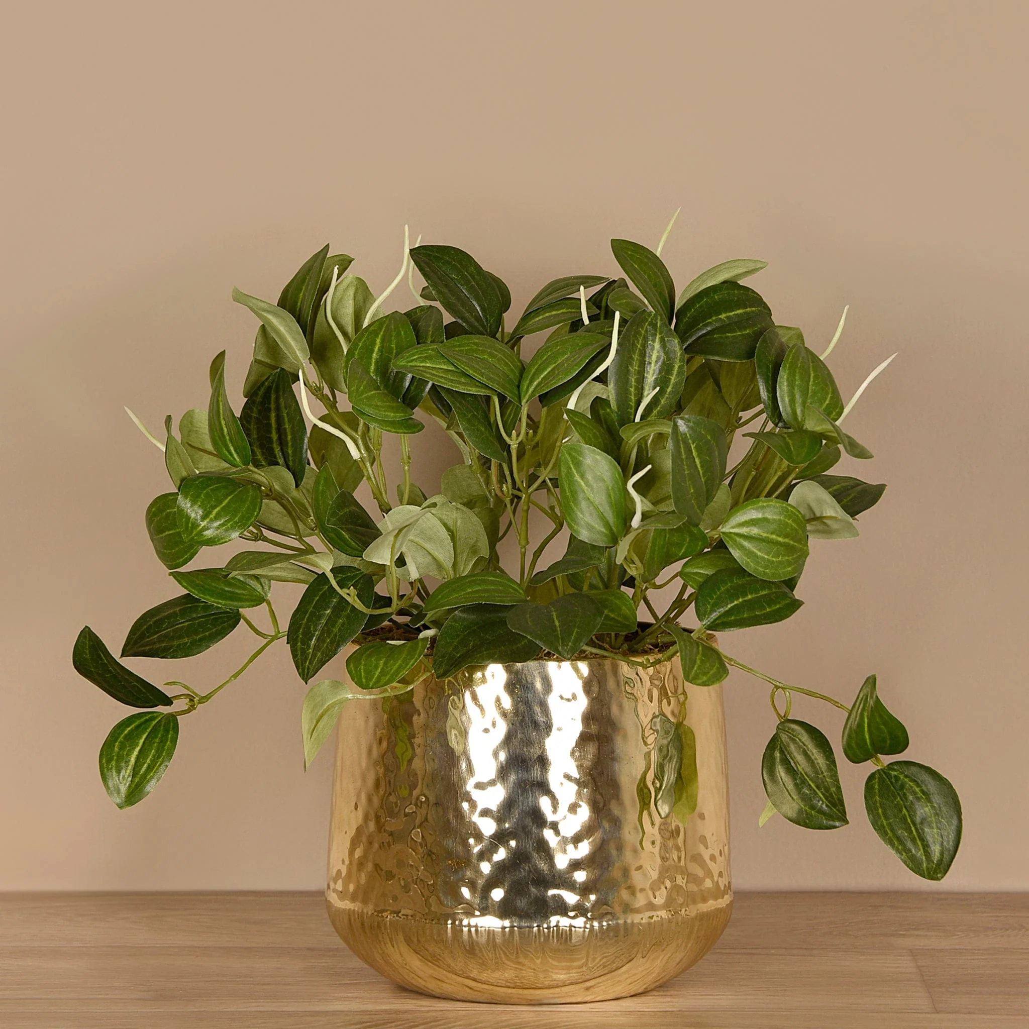 Artificial Potted Peperomia - Image 3