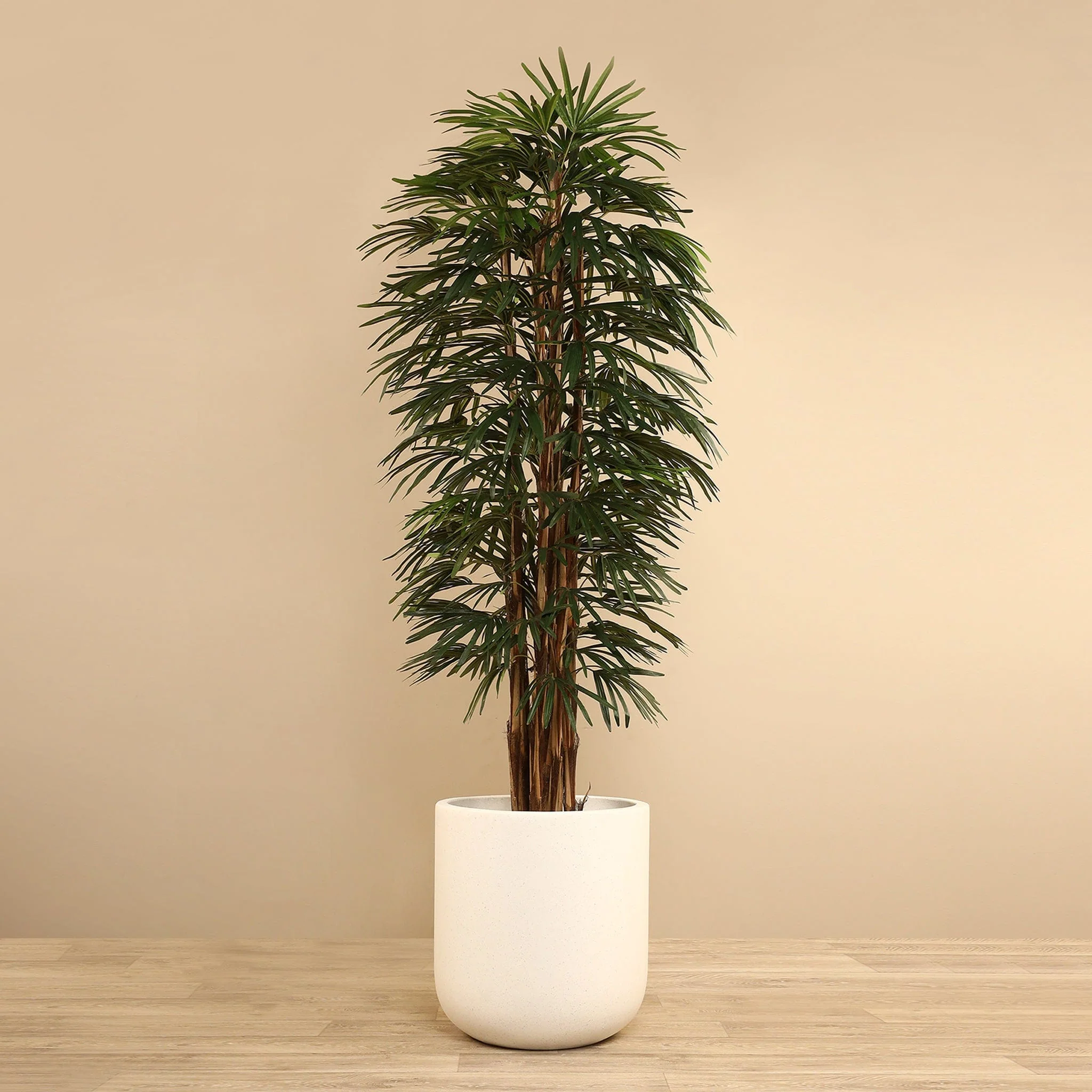 Artificial Raphis Palm 210cm