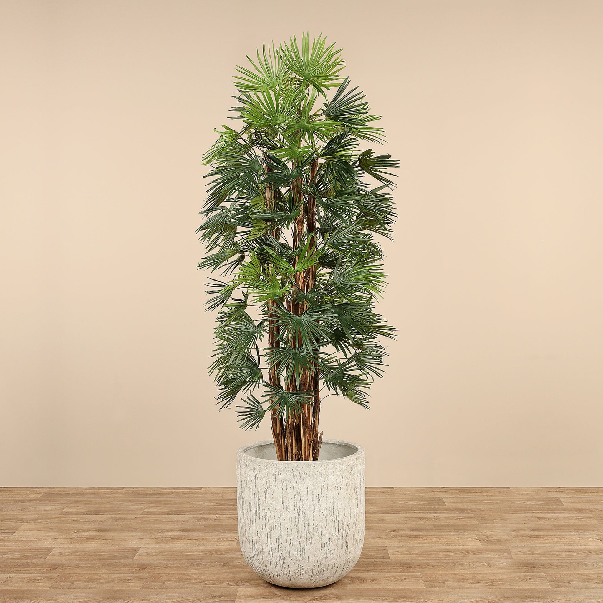 Artificial Raphis Palm 180cm