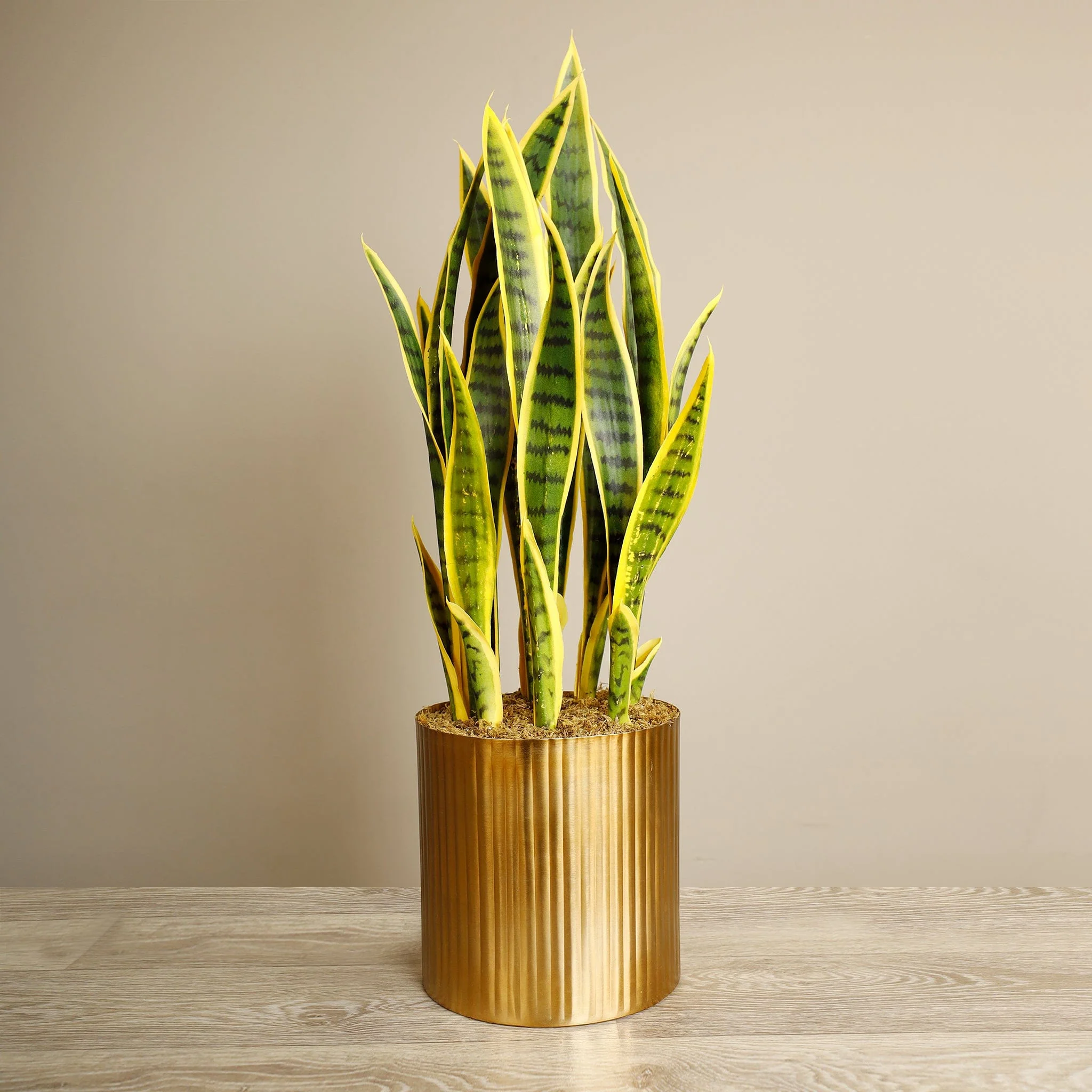 Artificial Sansevieria Plant - Image 3