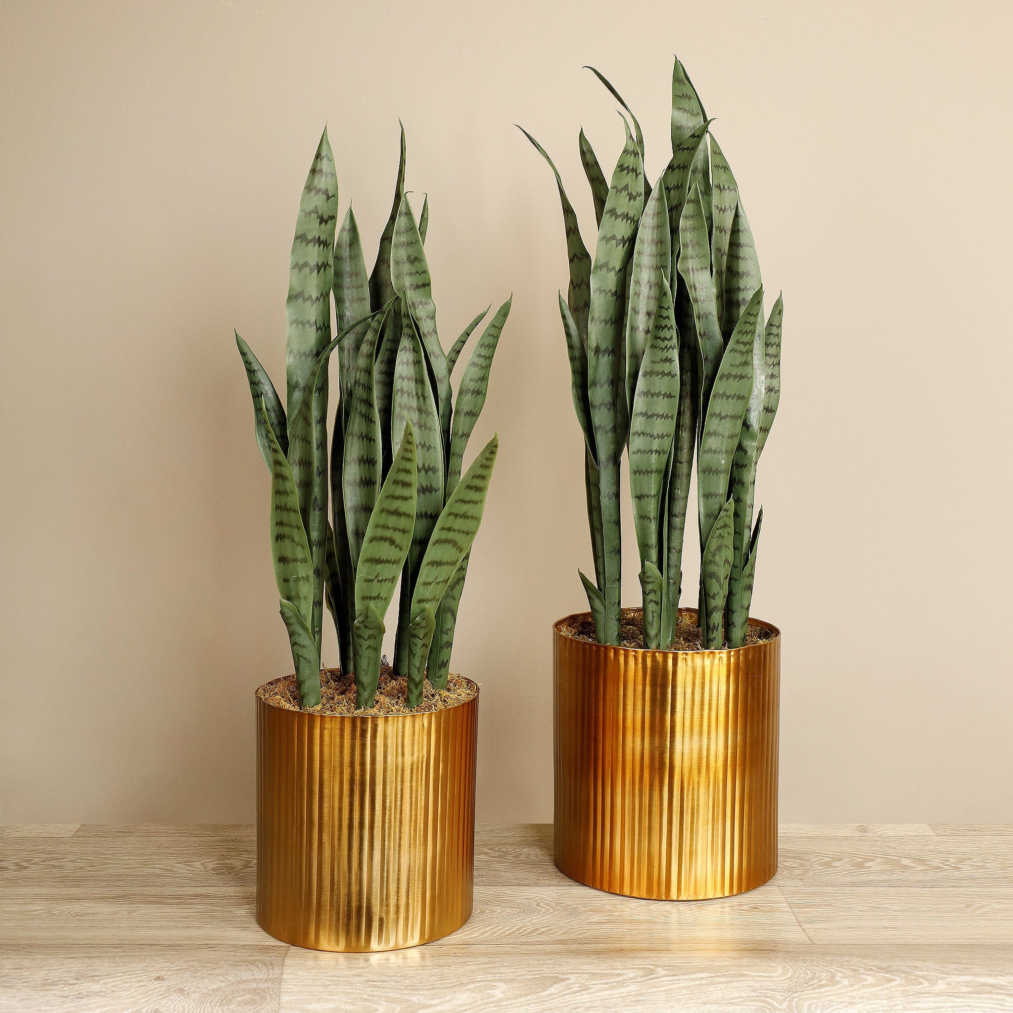 Artificial Sansevieria Plant - Image 6