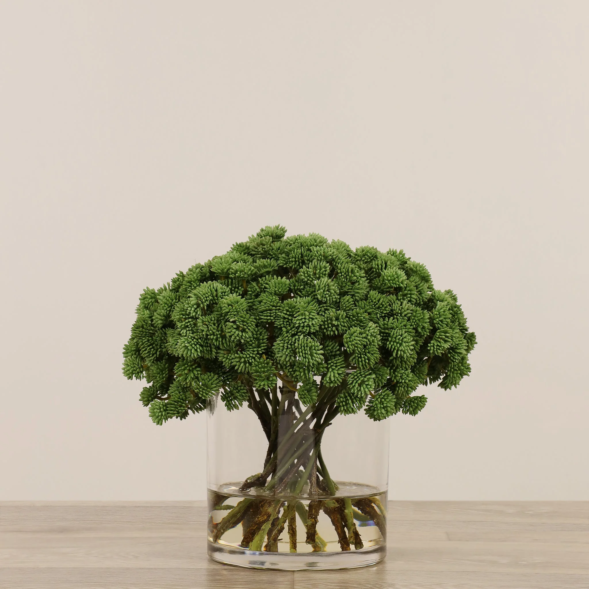 Artificial Sedum Arrangement in Glass Vase - Image 10
