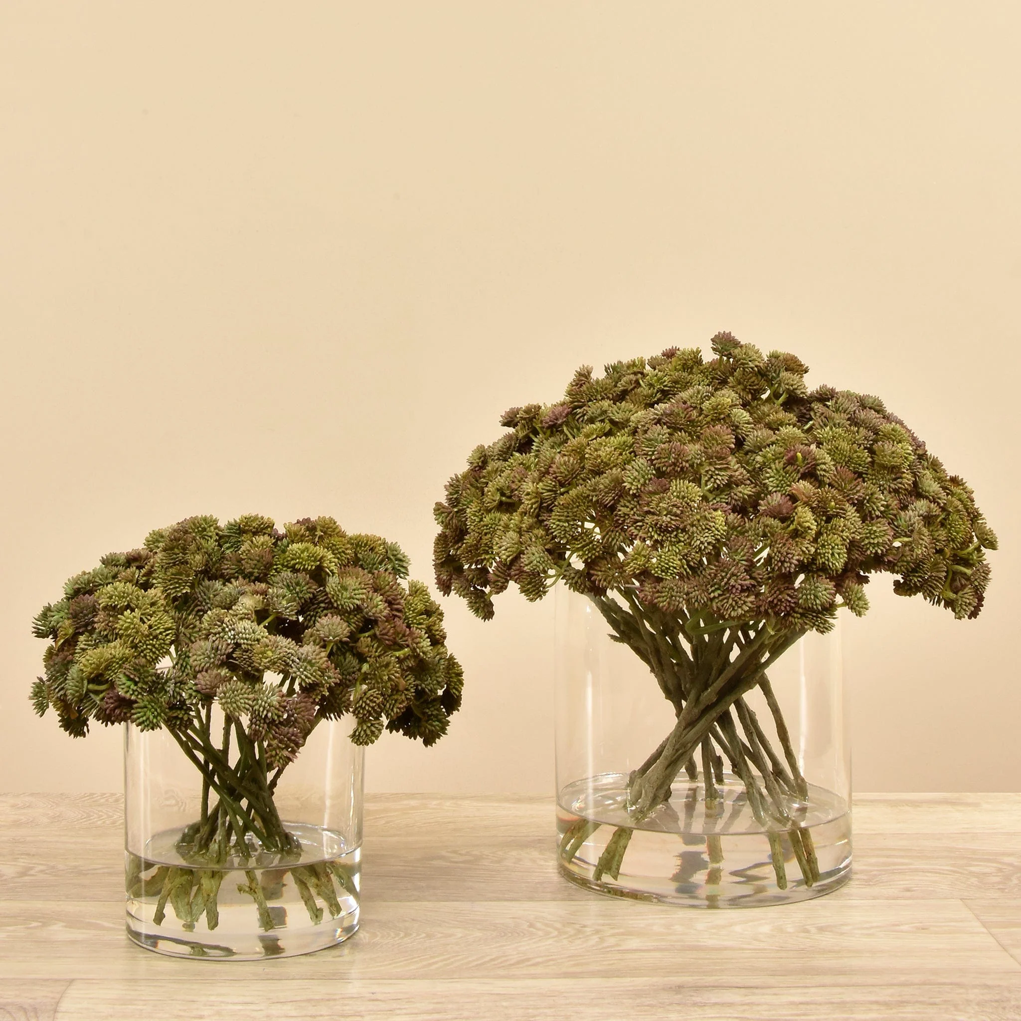 Artificial Sedum Arrangement in Glass Vase - Image 6