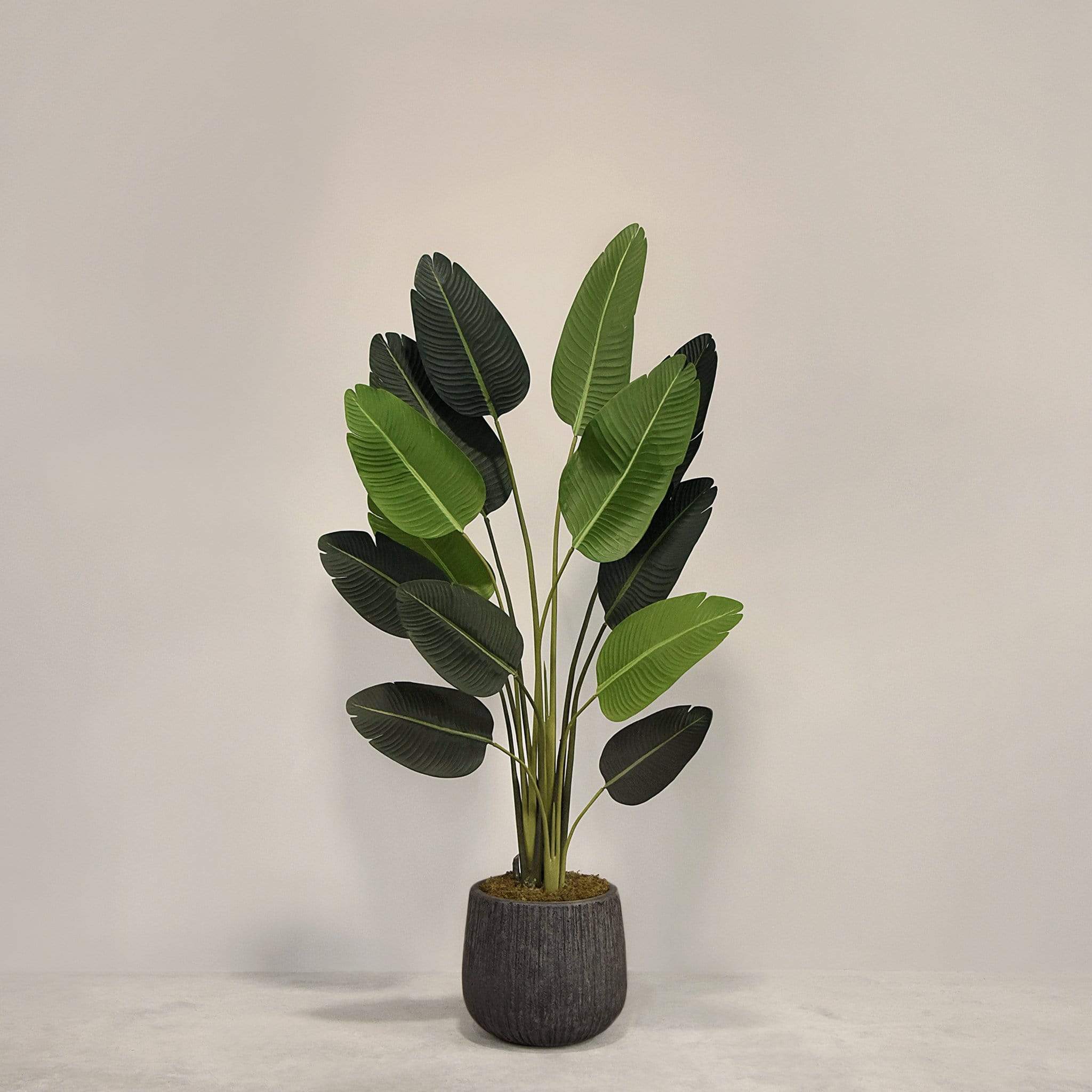 Artificial Strelitzia With Pot - Image 5