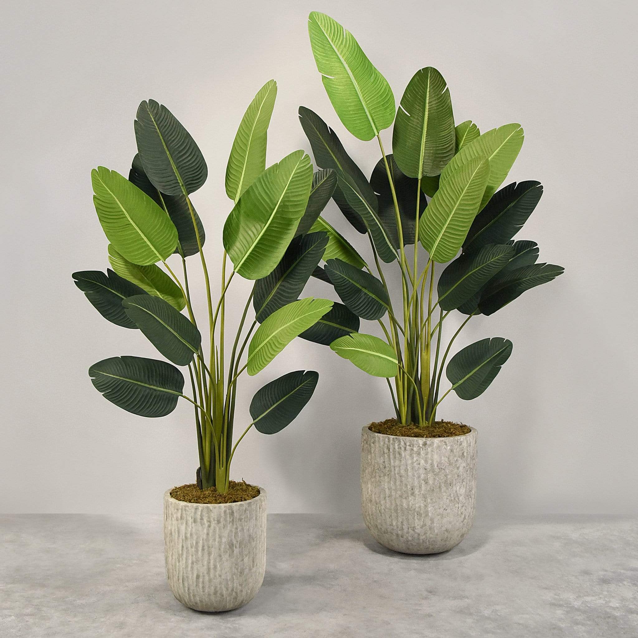 Artificial Strelitzia With Pot