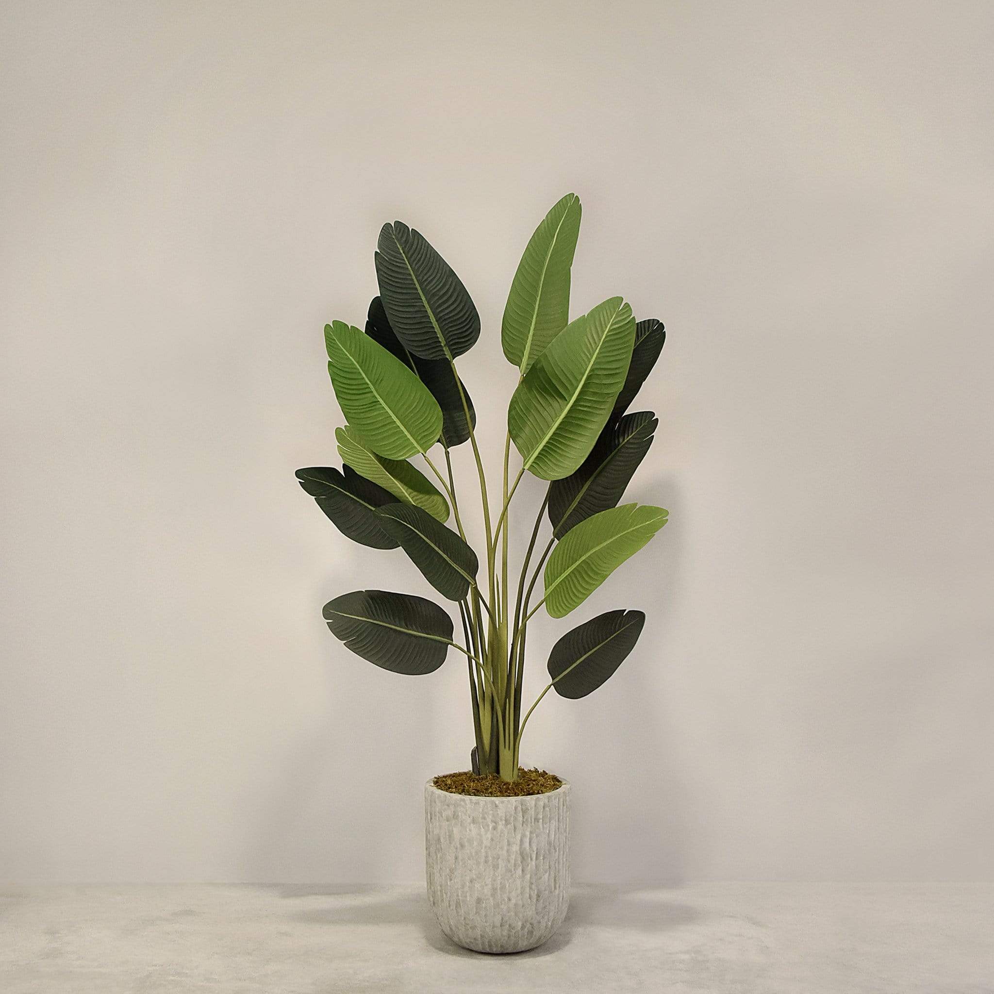 Artificial Strelitzia With Pot - Image 2