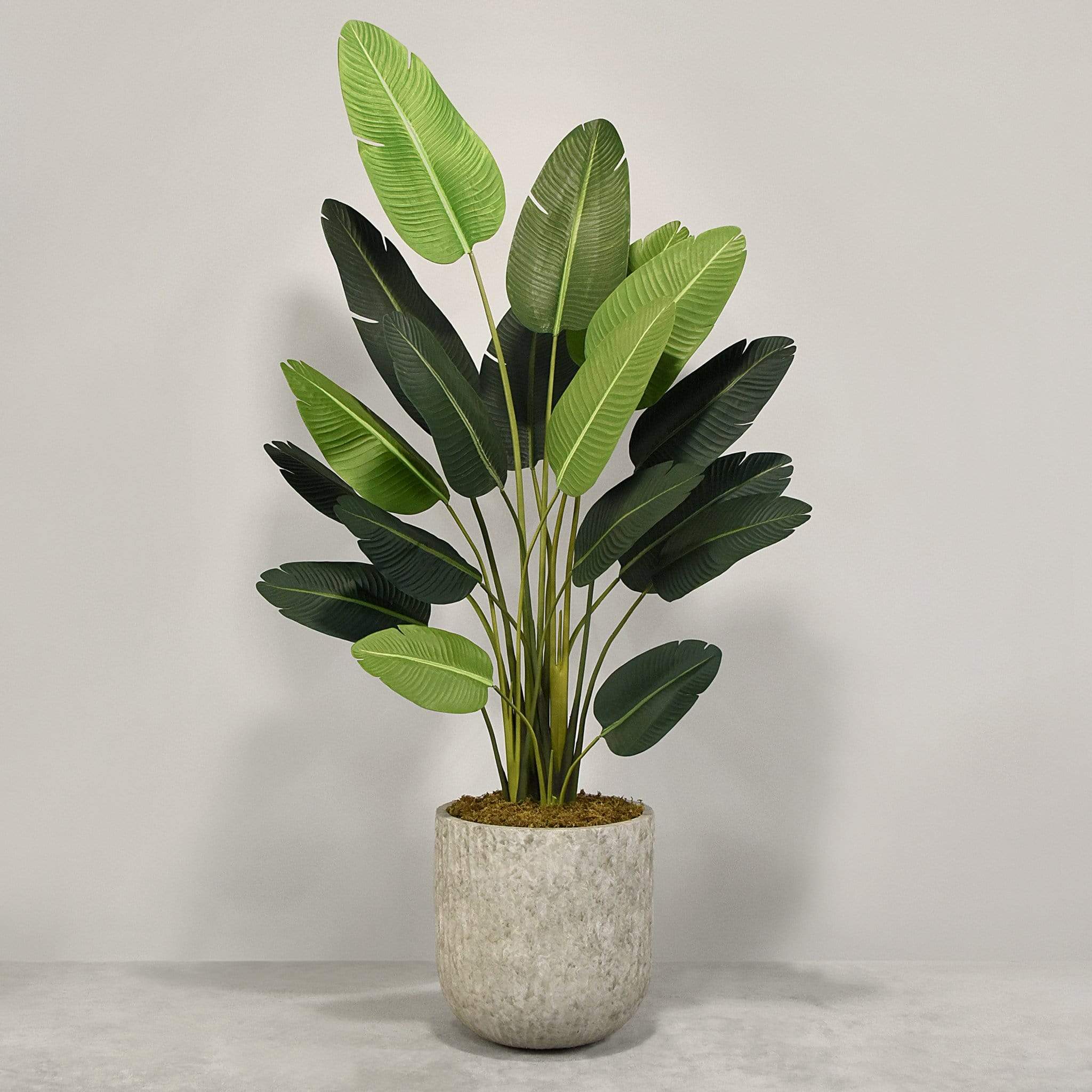 Artificial Strelitzia With Pot - Image 3