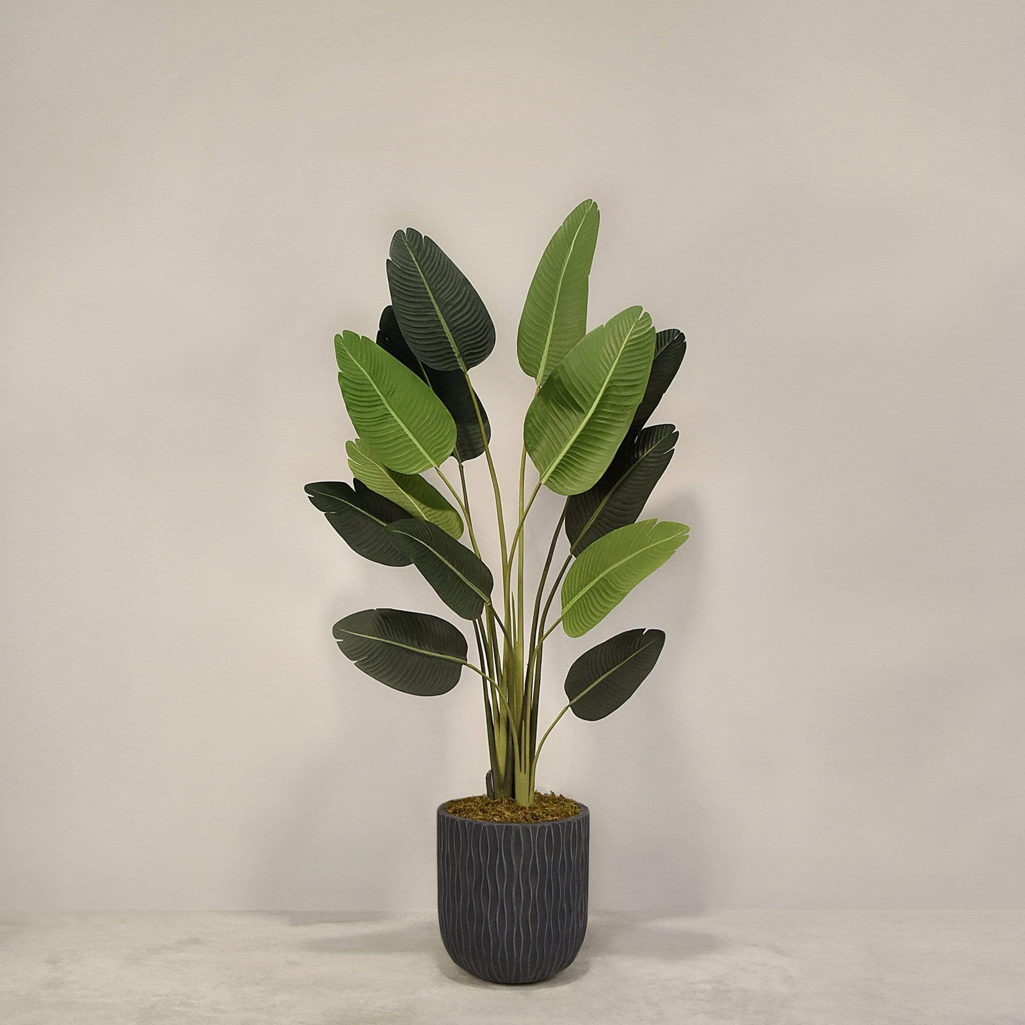 Artificial Strelitzia With Pot - Image 8