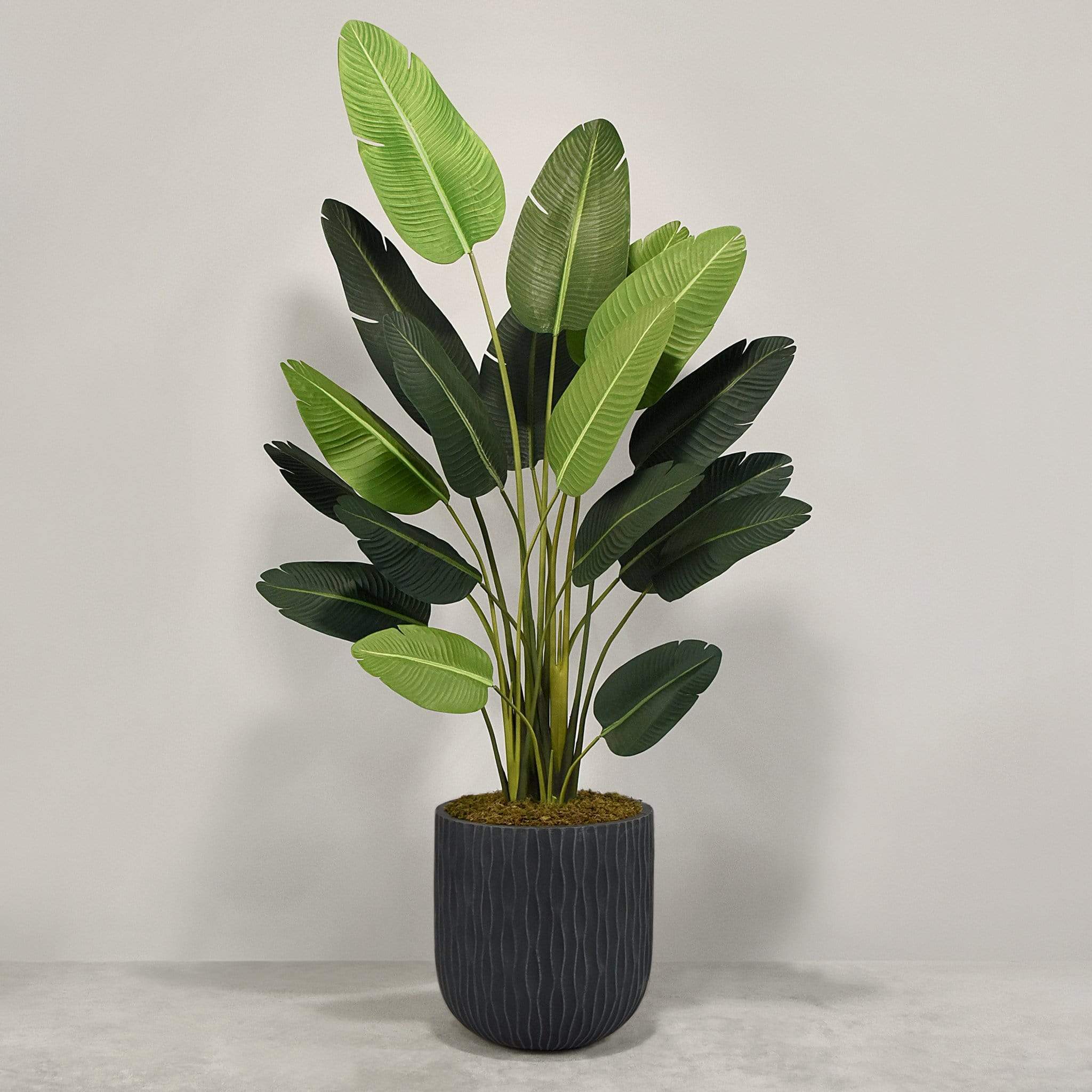 Artificial Strelitzia With Pot - Image 9