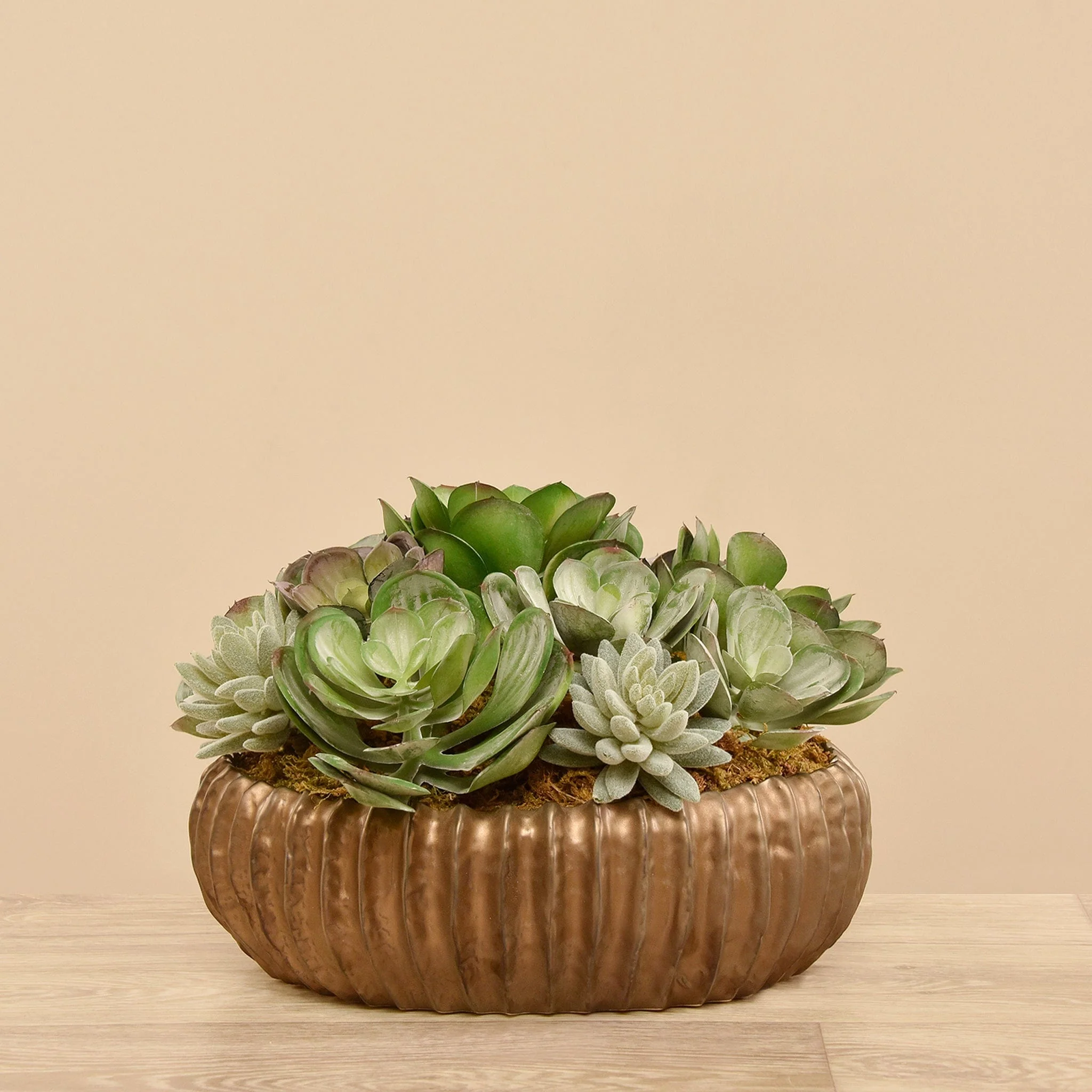 Artificial Succulent Arrangement - Image 2