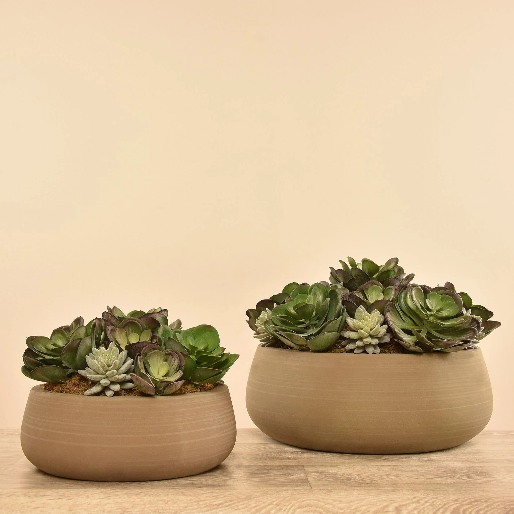 Artificial Succulent Arrangement