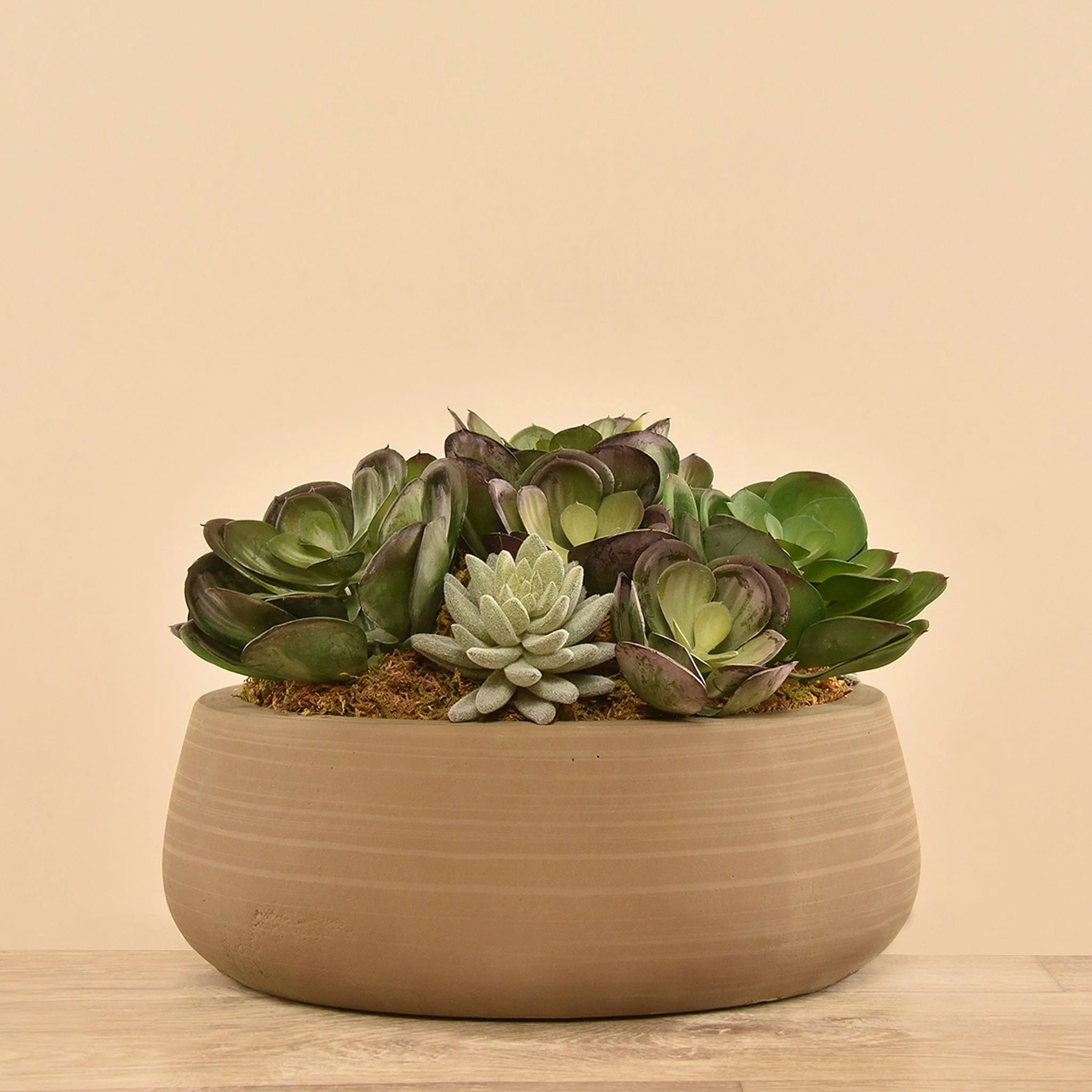 Artificial Succulent Arrangement - Image 2