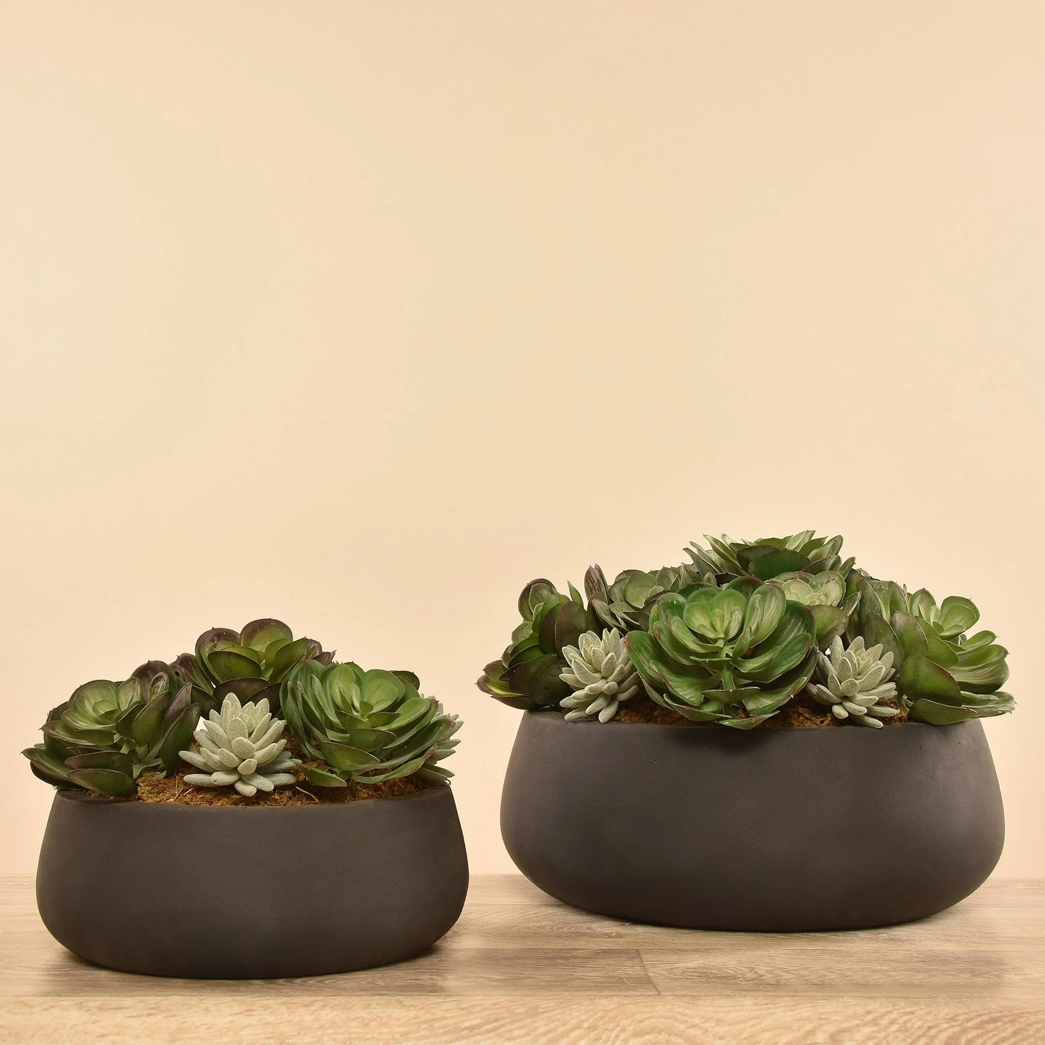 Artificial Succulent Arrangement