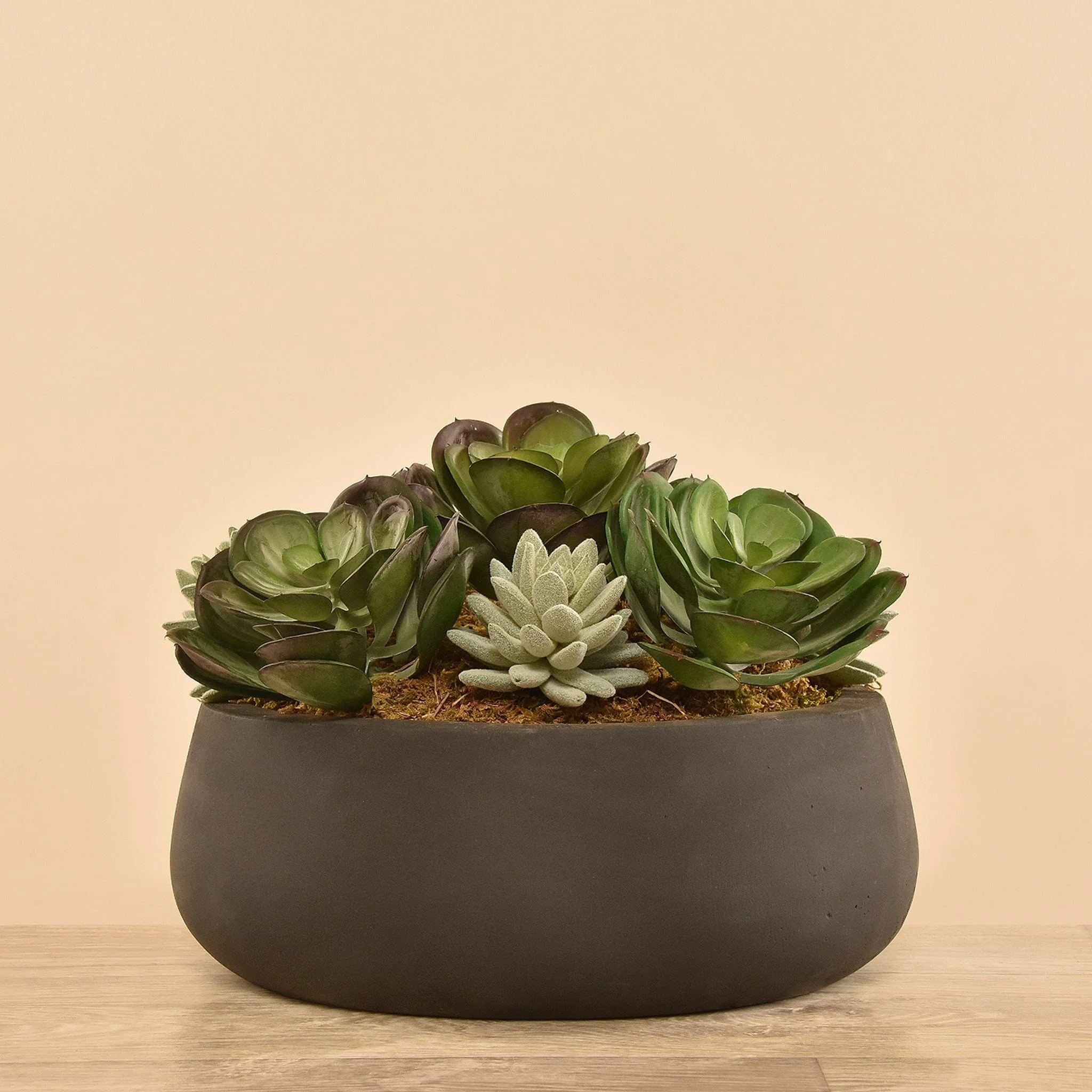 Artificial Succulent Arrangement - Image 2