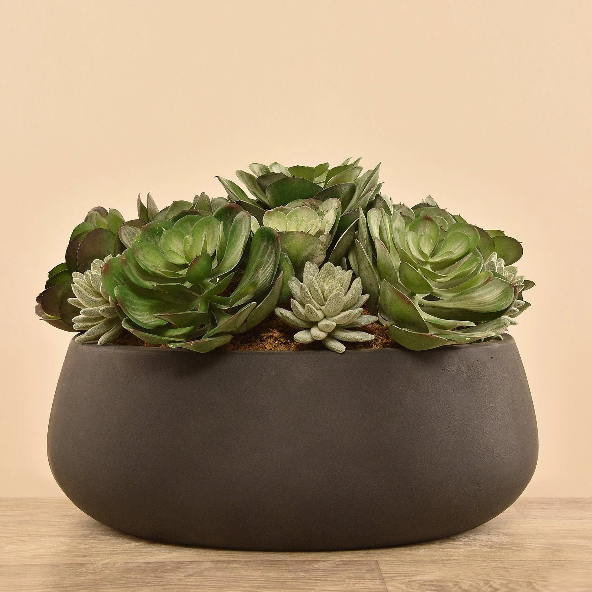 Artificial Succulent Arrangement - Image 3