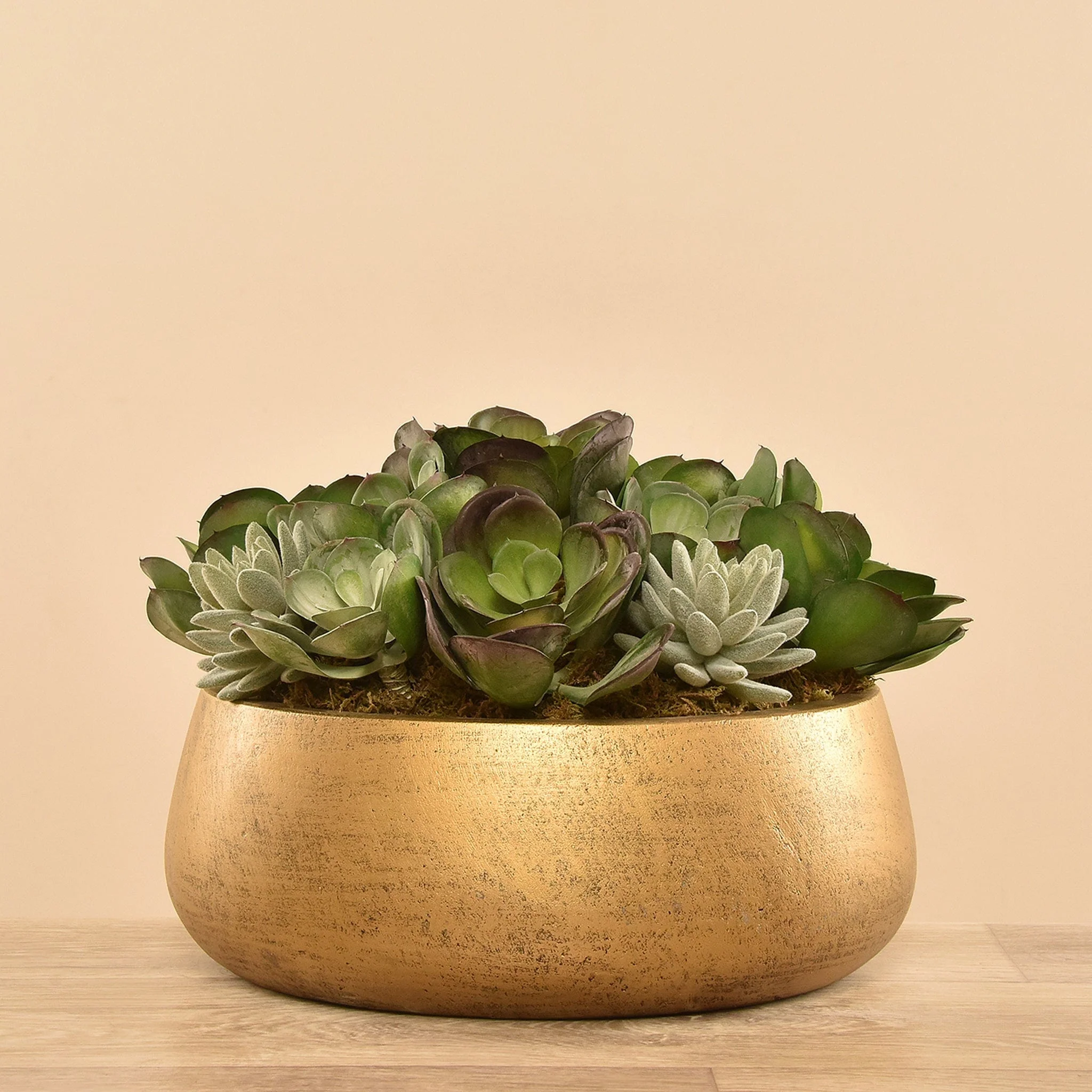 Artificial Succulent Arrangement - Image 2