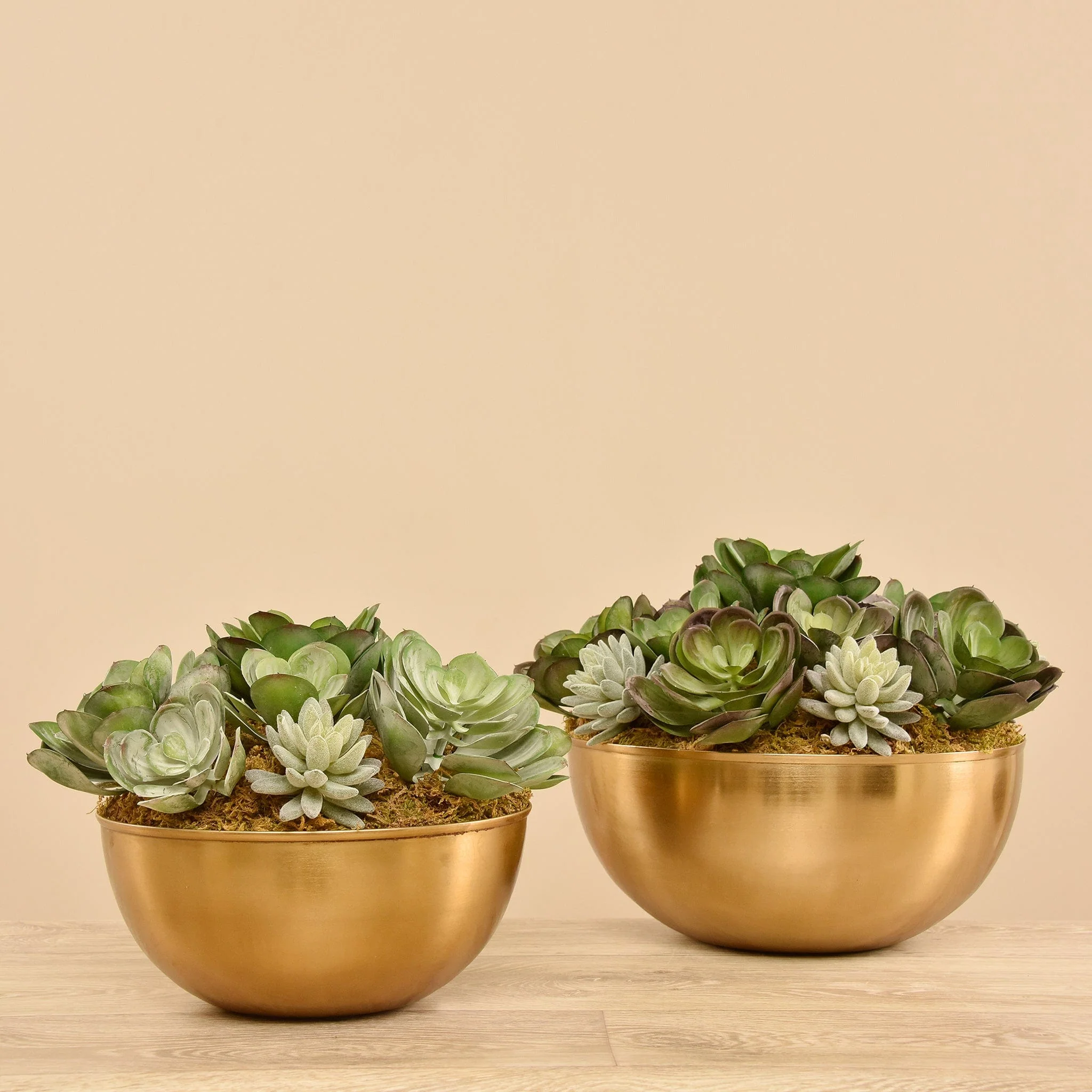 Artificial Succulent Arrangement