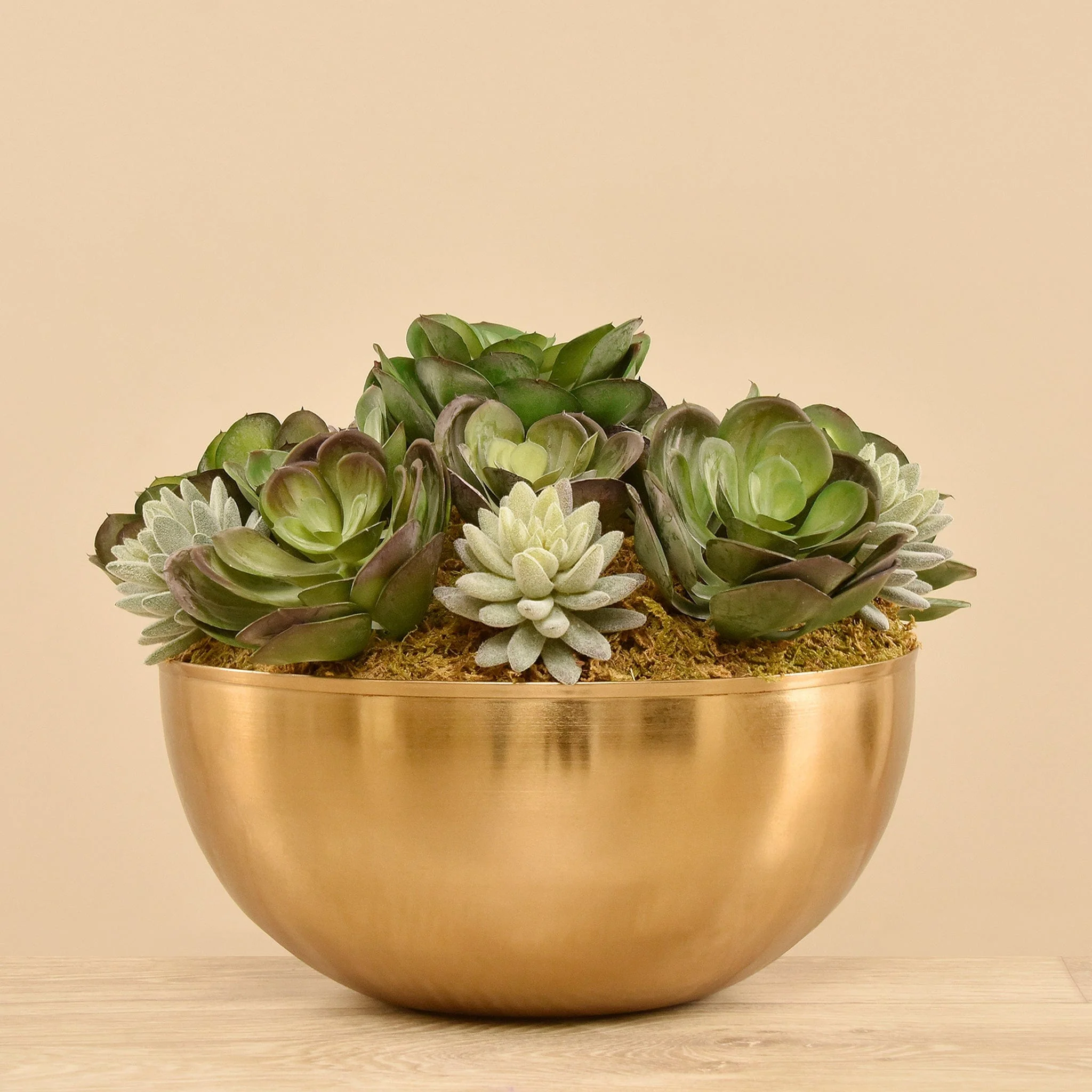 Artificial Succulent Arrangement - Image 4