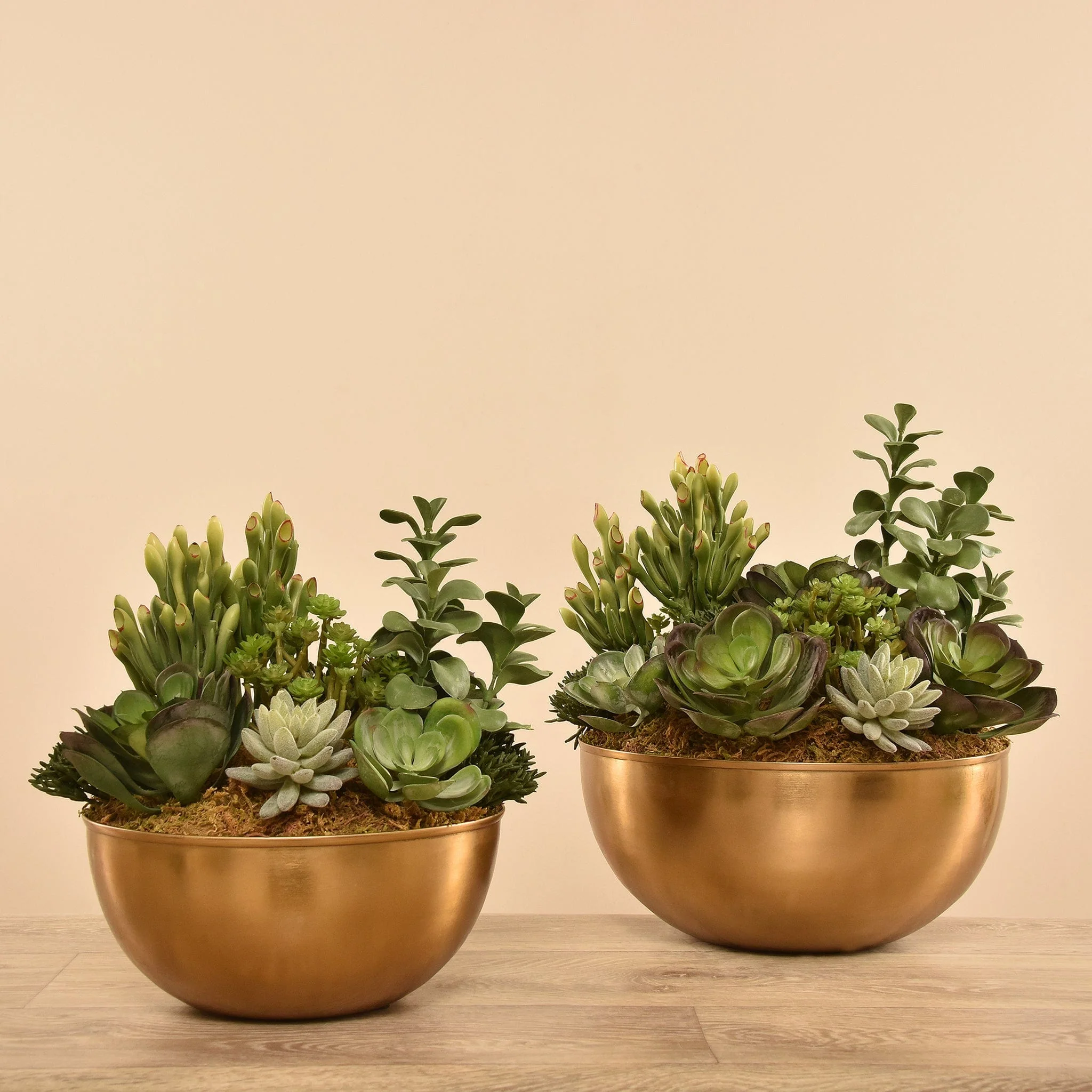 Artificial Succulent Arrangement