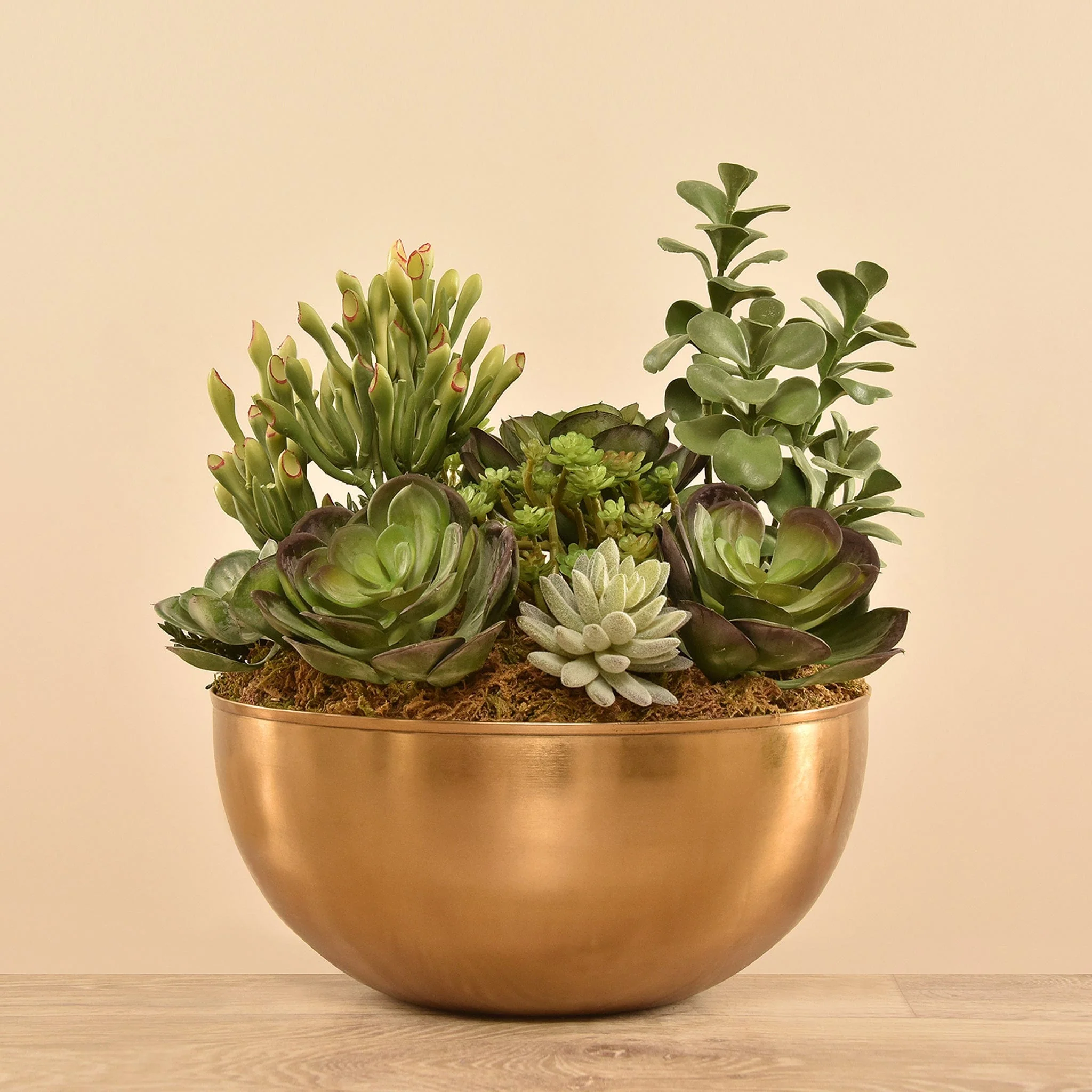 Artificial Succulent Arrangement - Image 2