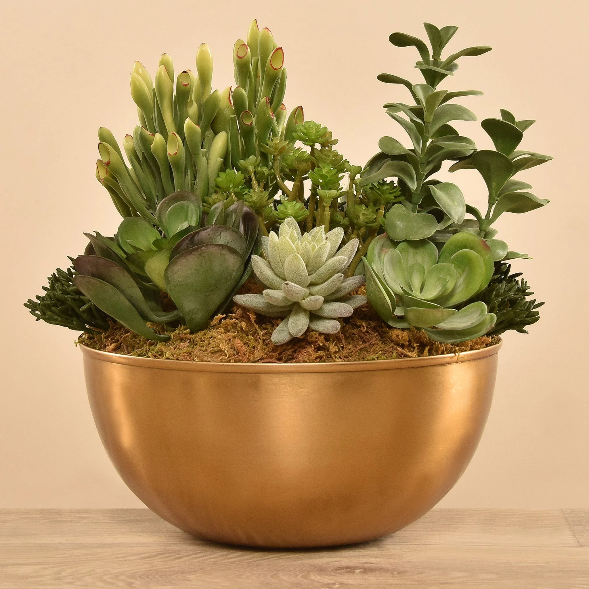 Artificial Succulent Arrangement - Image 3