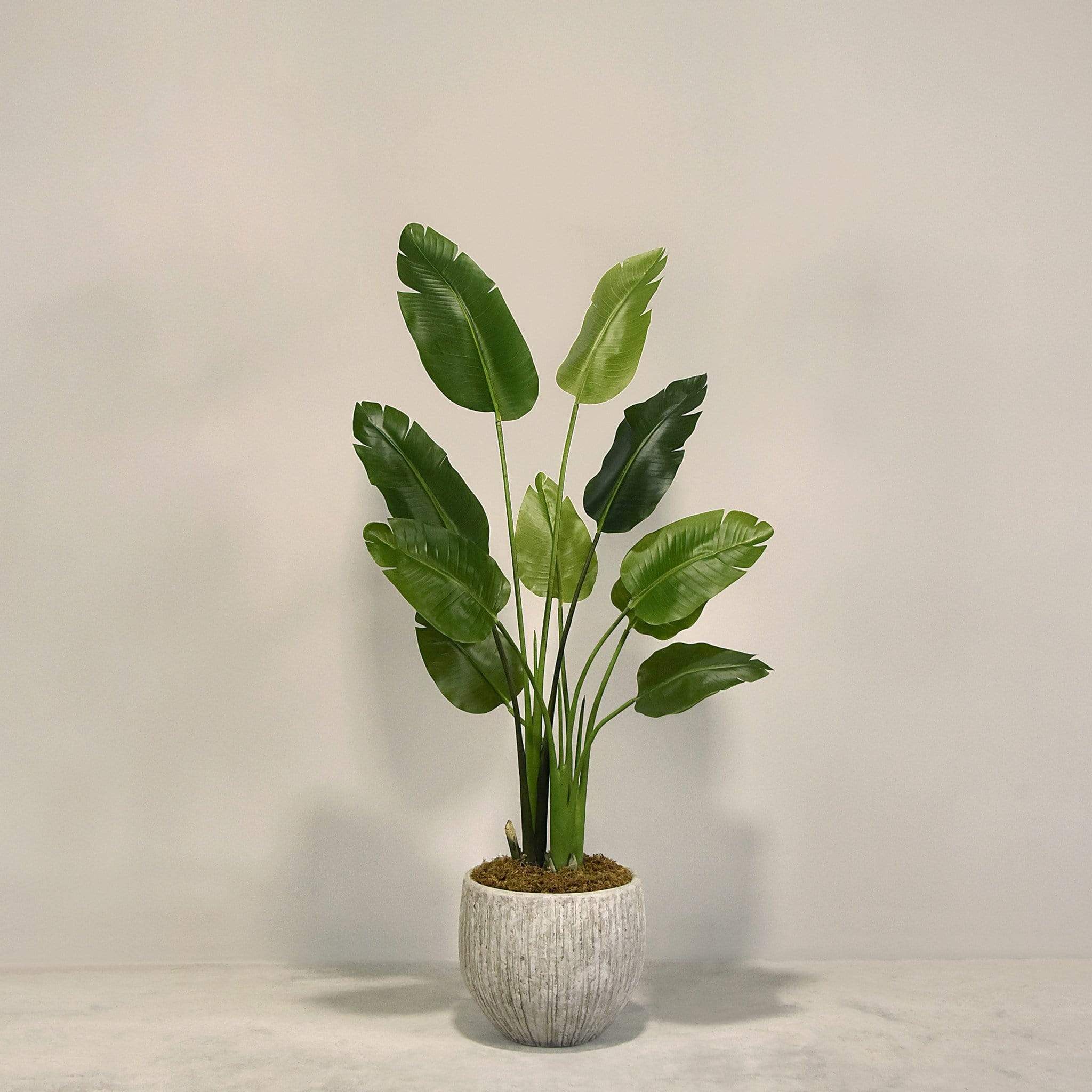 Artificial Travelers Palm with Pot - Image 2