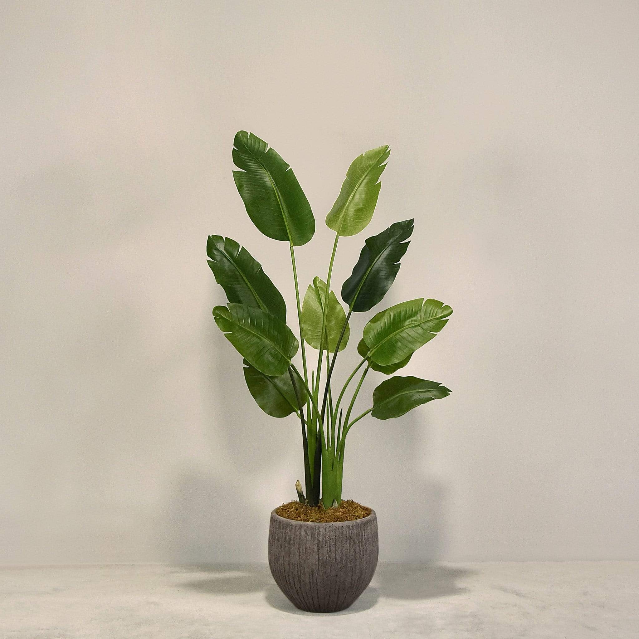 Artificial Travelers Palm with Pot - Image 5