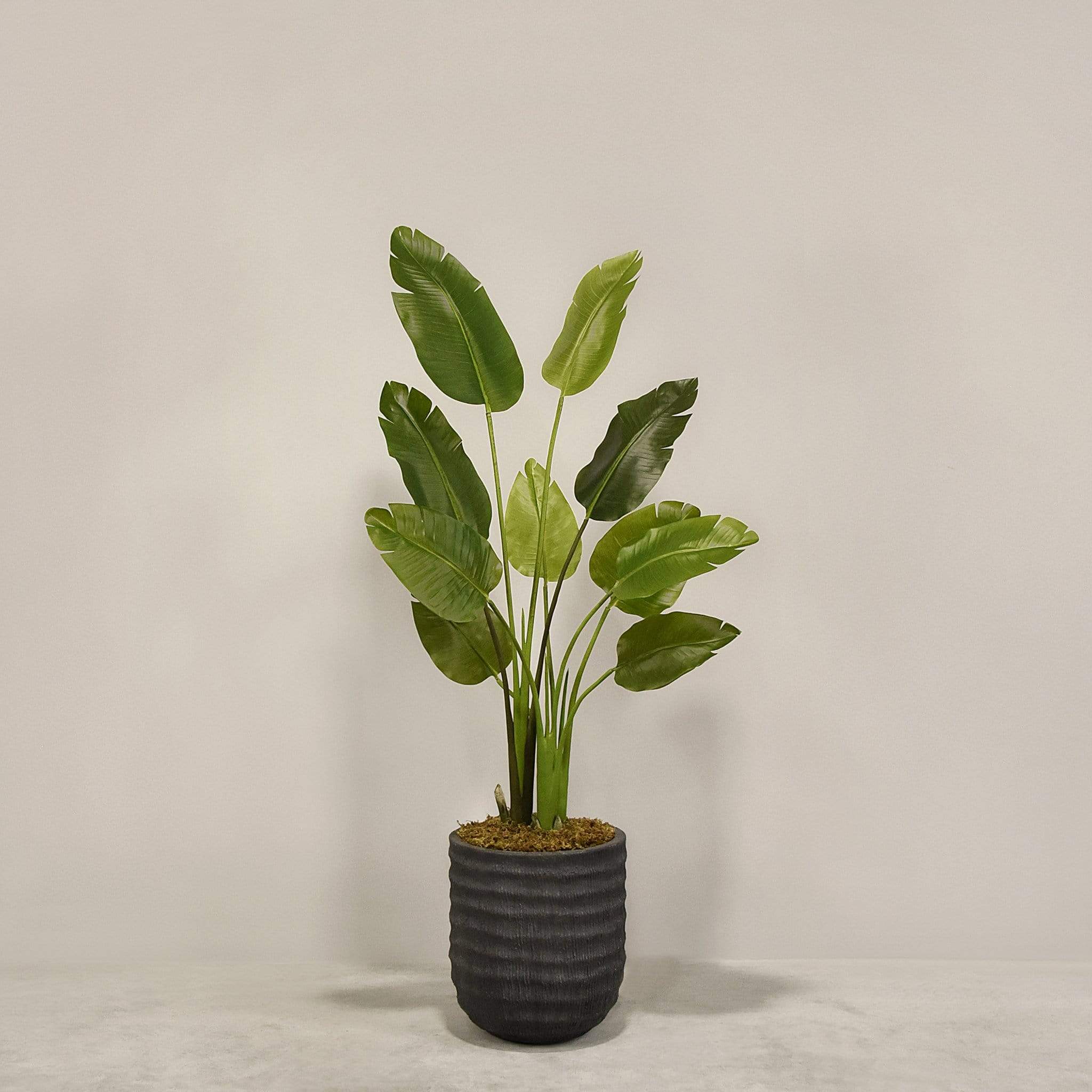 Artificial Travelers Palm with Pot - Image 2