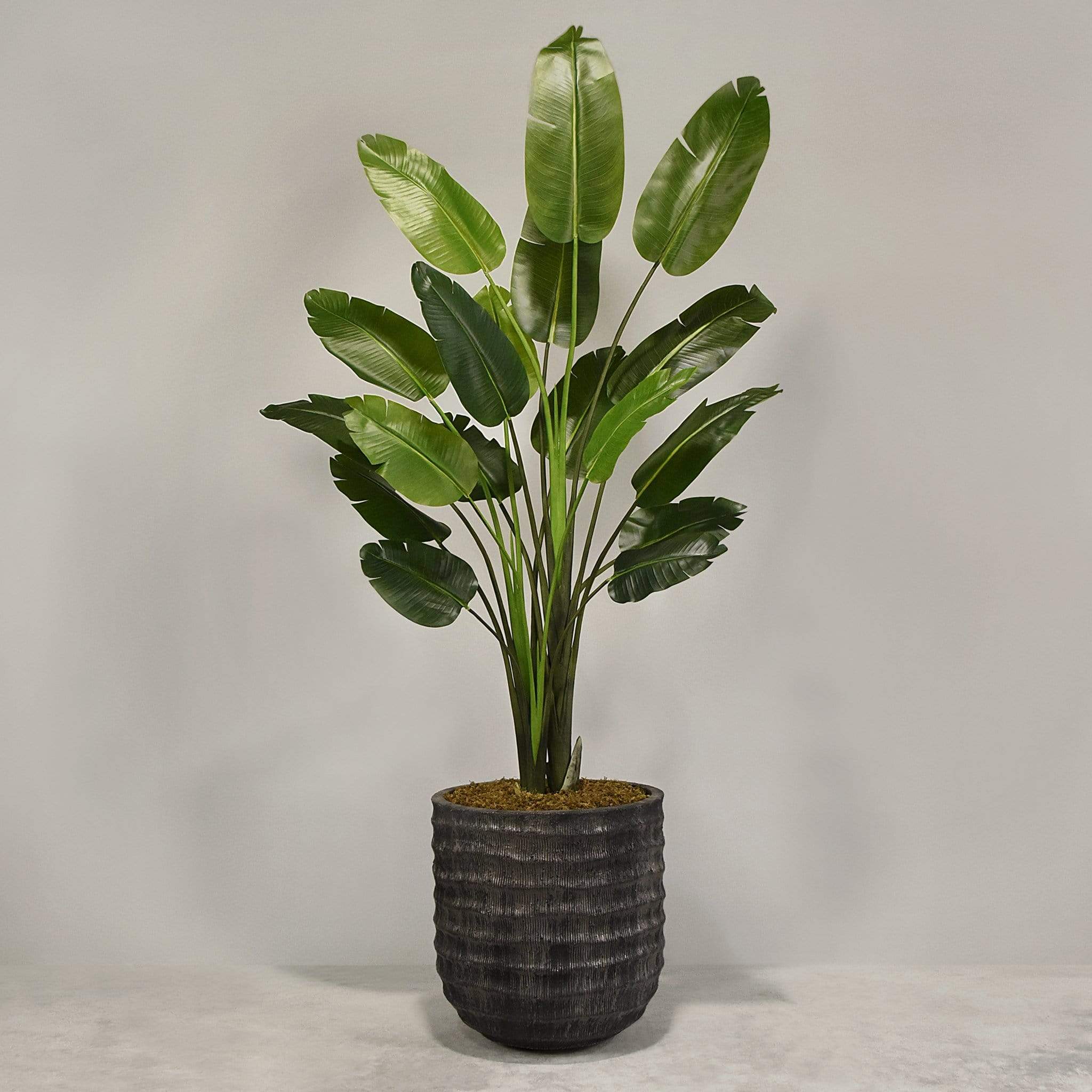 Artificial Travelers Palm with Pot - Image 4