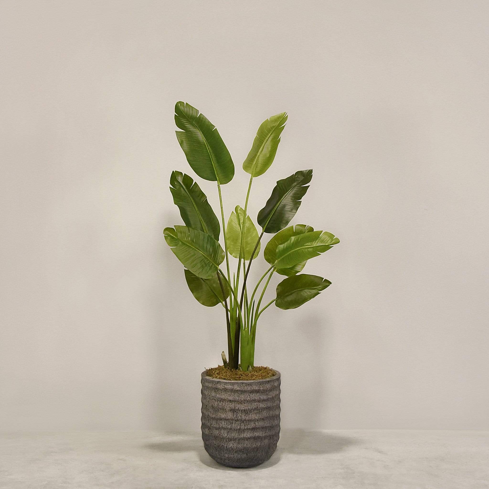 Artificial Travelers Palm with Pot - Image 5