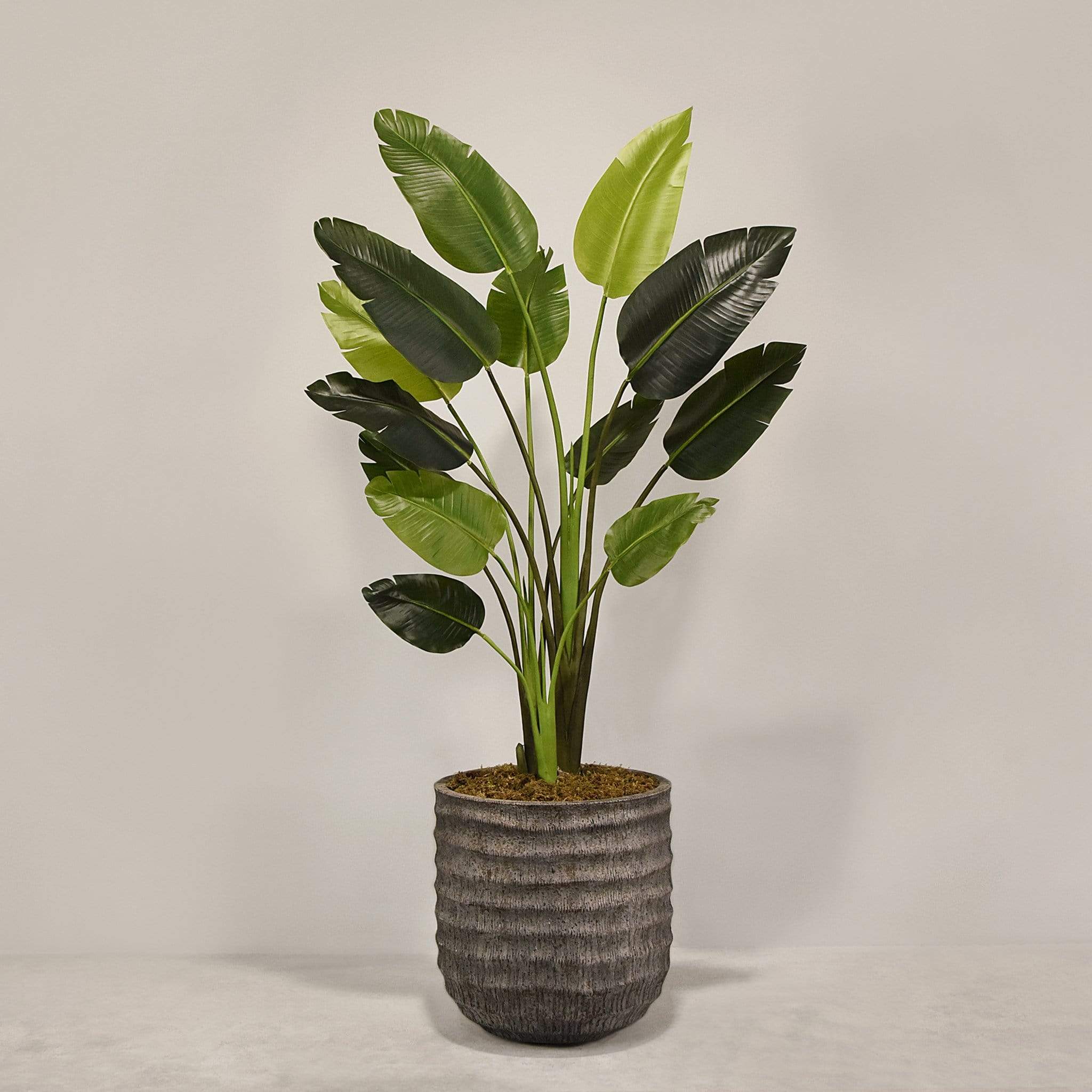 Artificial Travelers Palm with Pot - Image 6