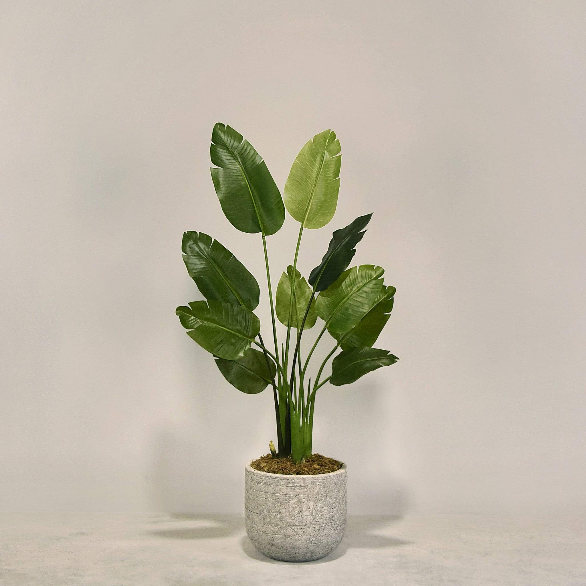 Artificial Travelers Palm with Pot - Image 2