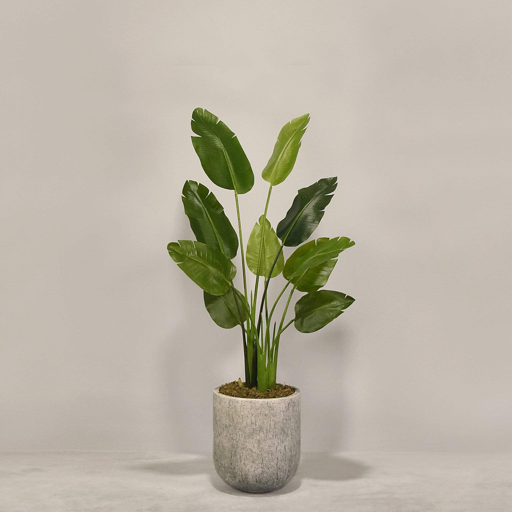 Artificial Travelers Palm with Pot - Image 2