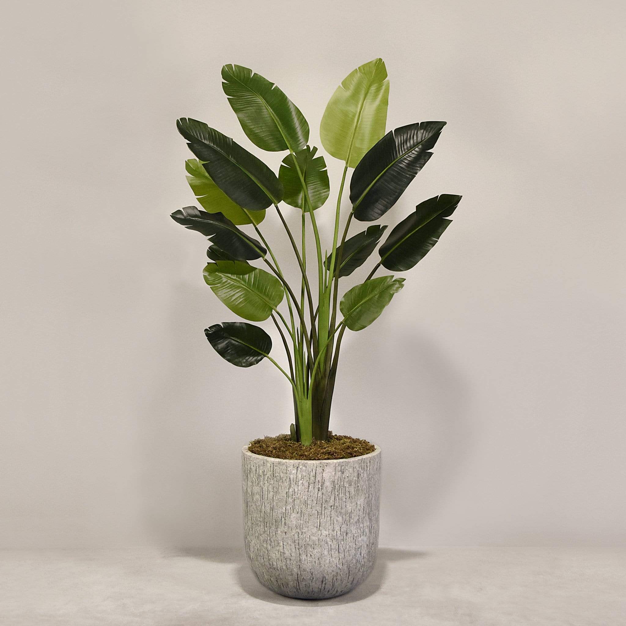 Artificial Travelers Palm with Pot - Image 3