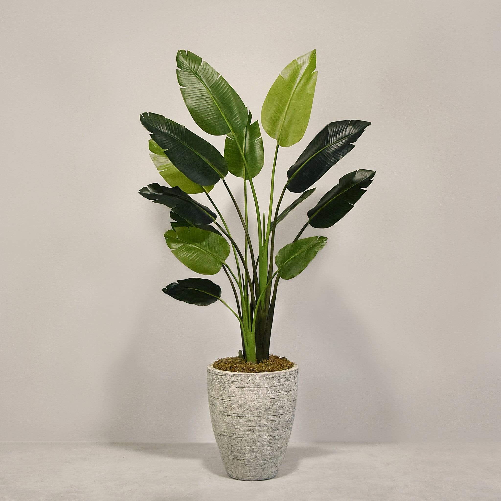 Artificial Travelers Palm with Pot - Image 2