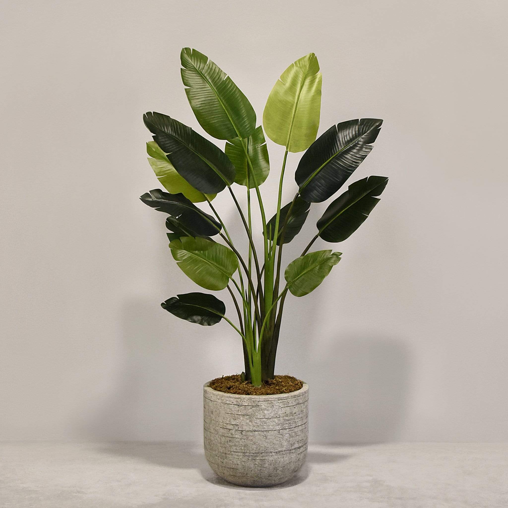 Artificial Travelers Palm with Pot - Image 3